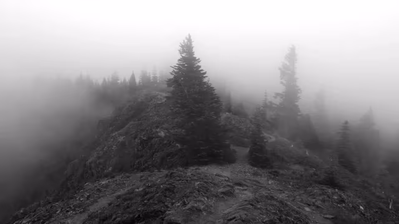 Heaven's Peak: Fog Of Silence