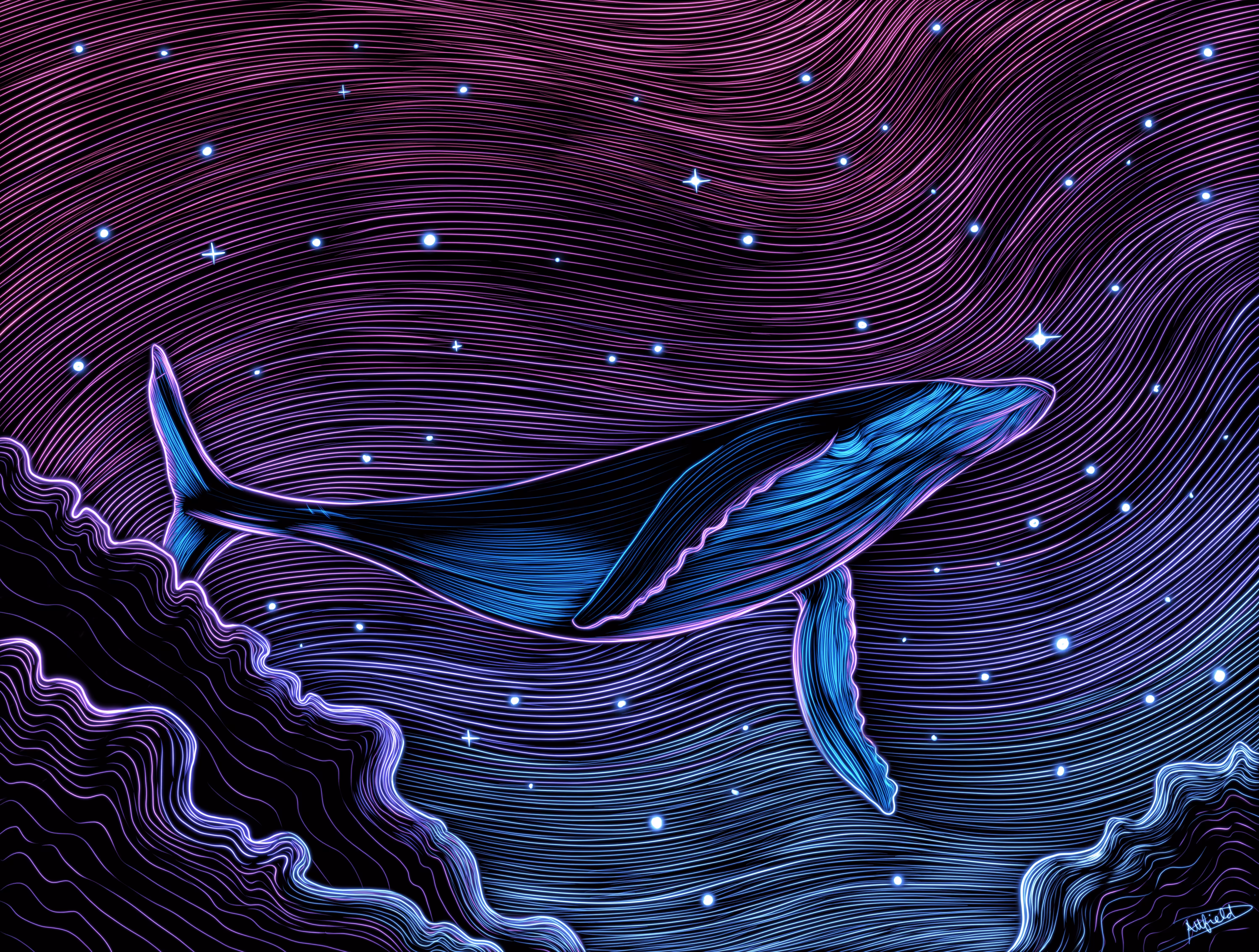 The Song of the Whale