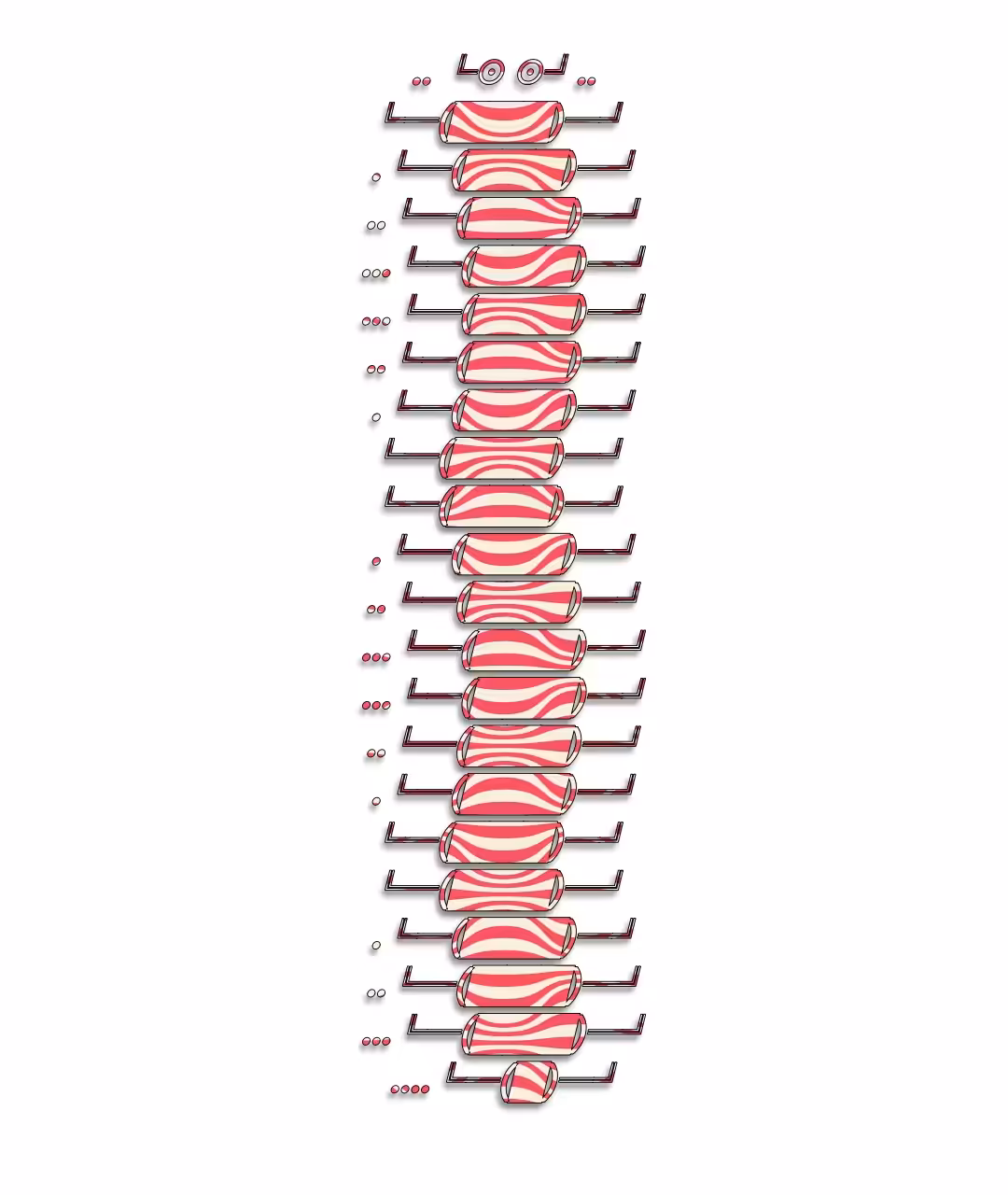 Zebra Centipede 