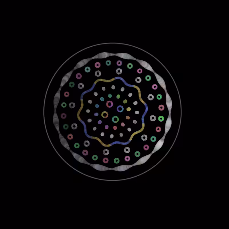 Fluidynamix - Rings #8
