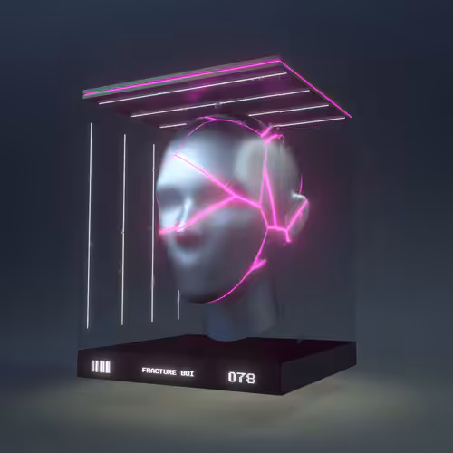 FRACTURE BOI - 078