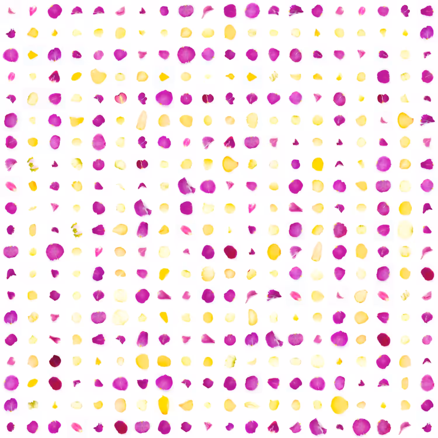 Infinite Petals 20x20#5569
