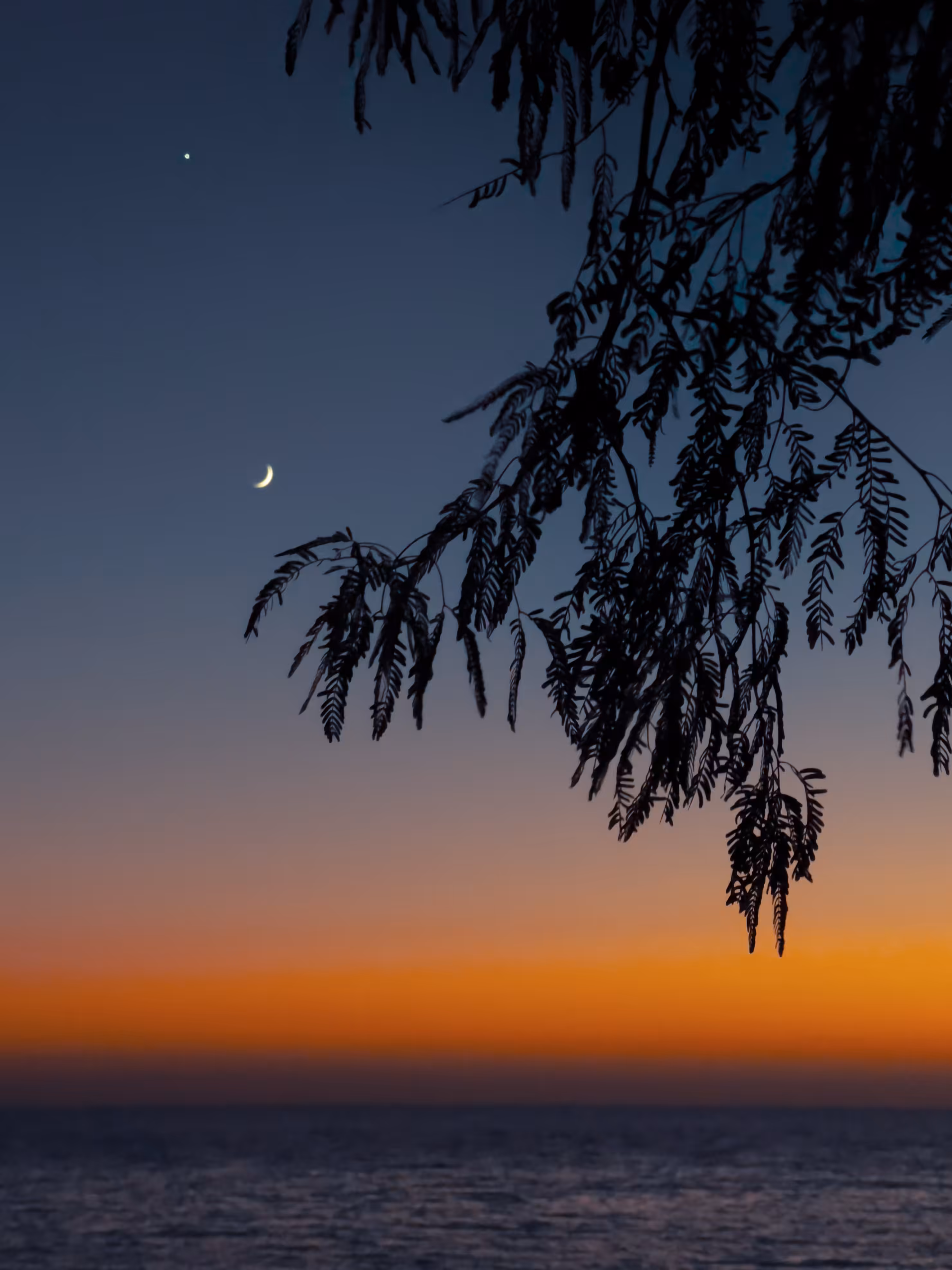 Moon & Star