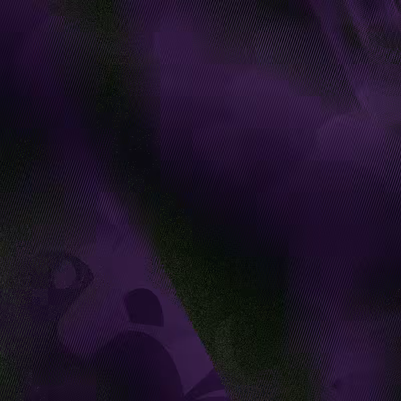anomalia.12 #38