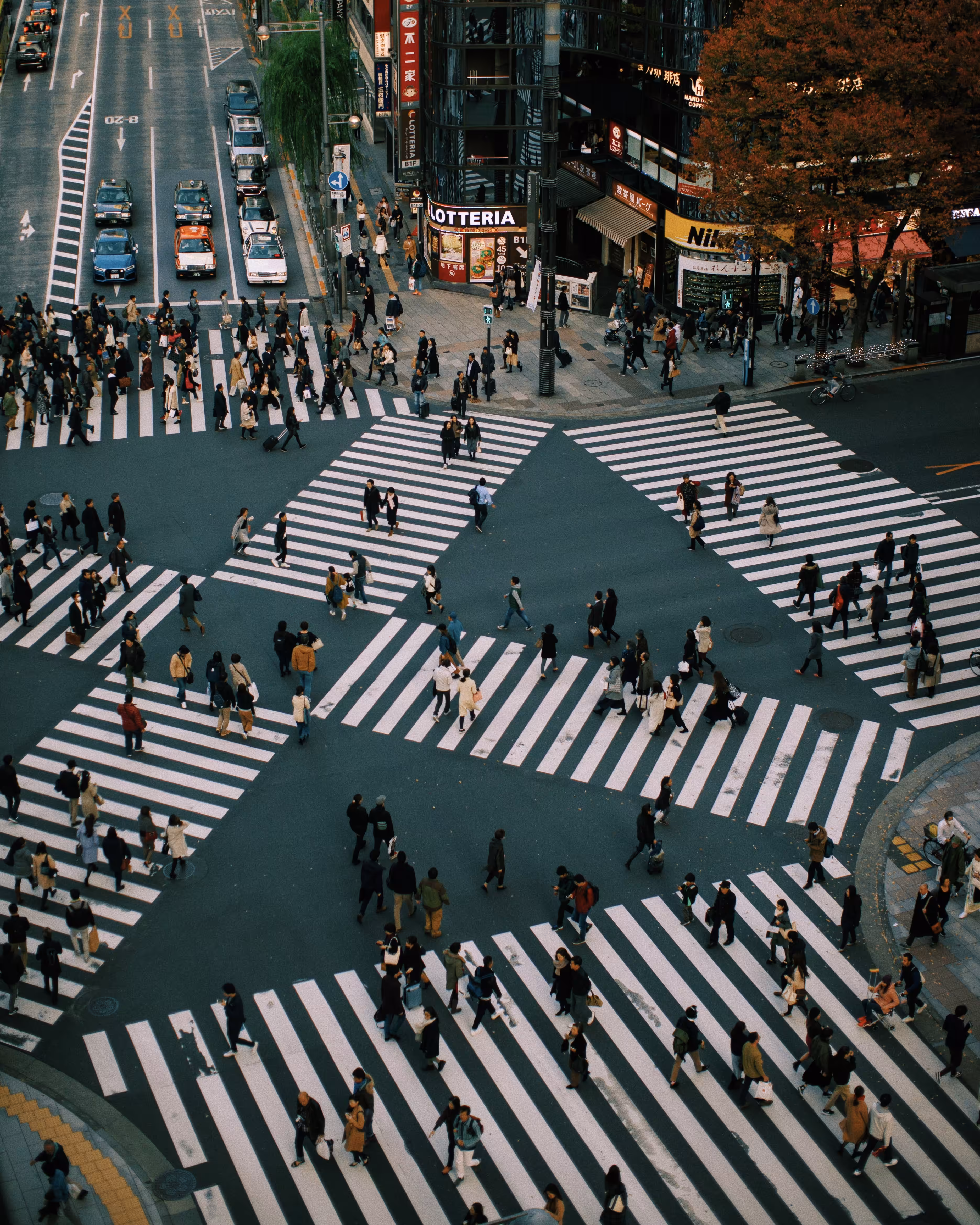 Ginza crosswalk