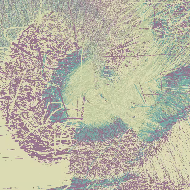 The Eye of The Beholder #14