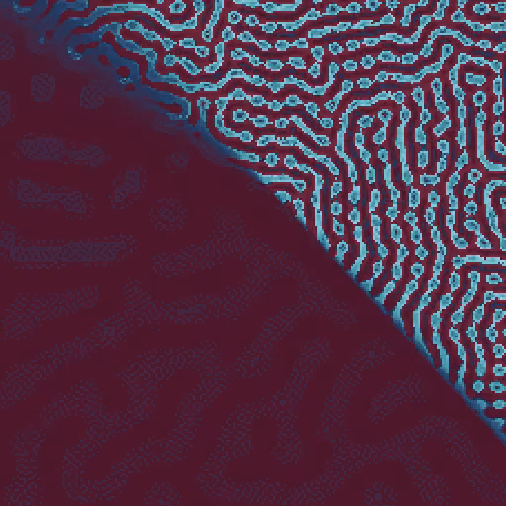 cellular_collage #31