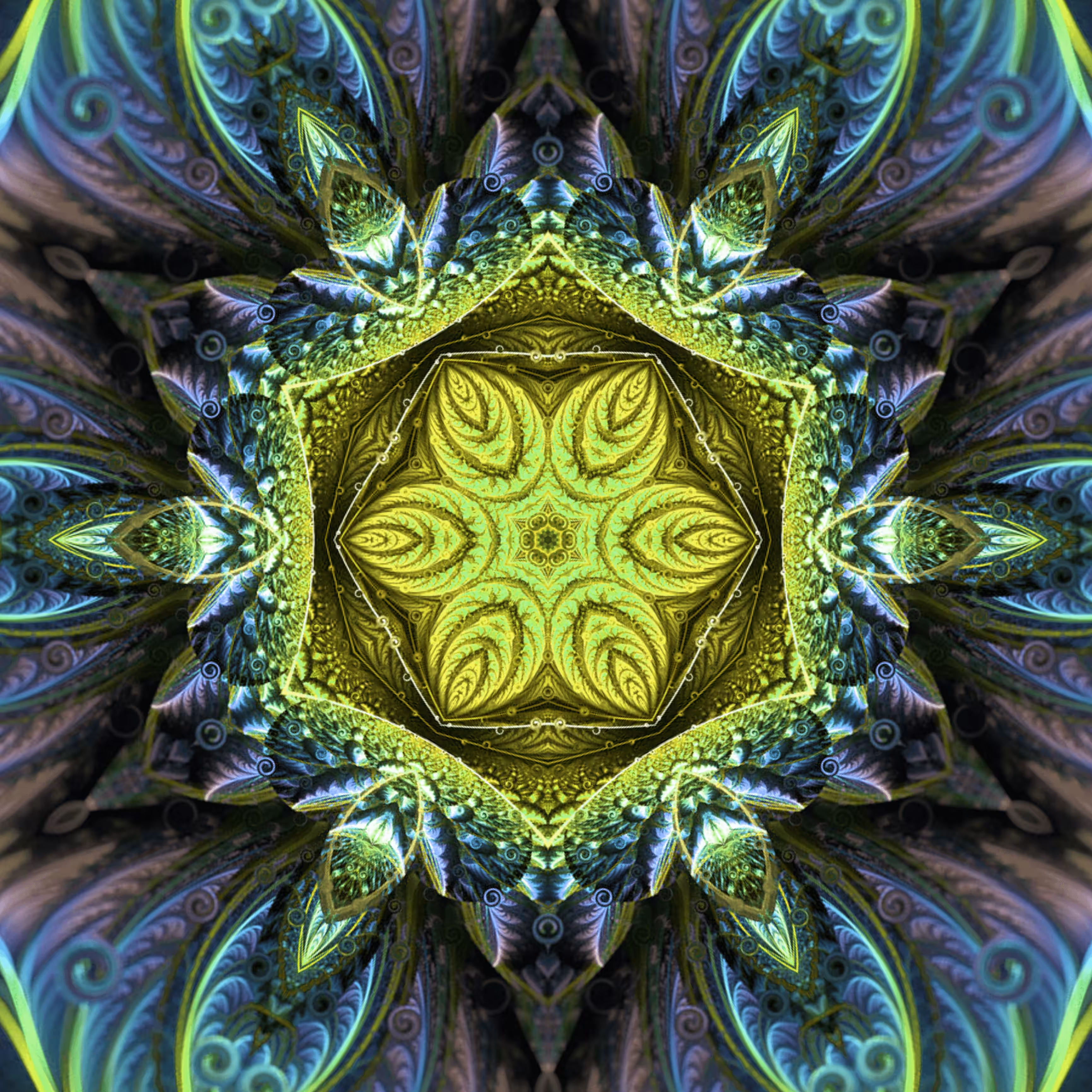 Peacock #01