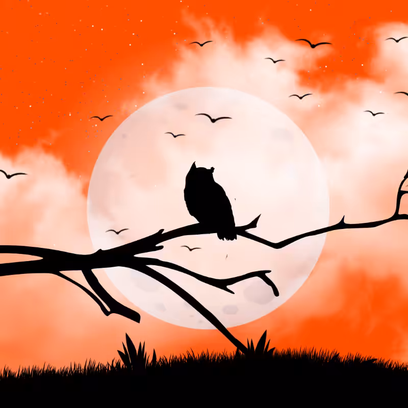We Care...Owl #6