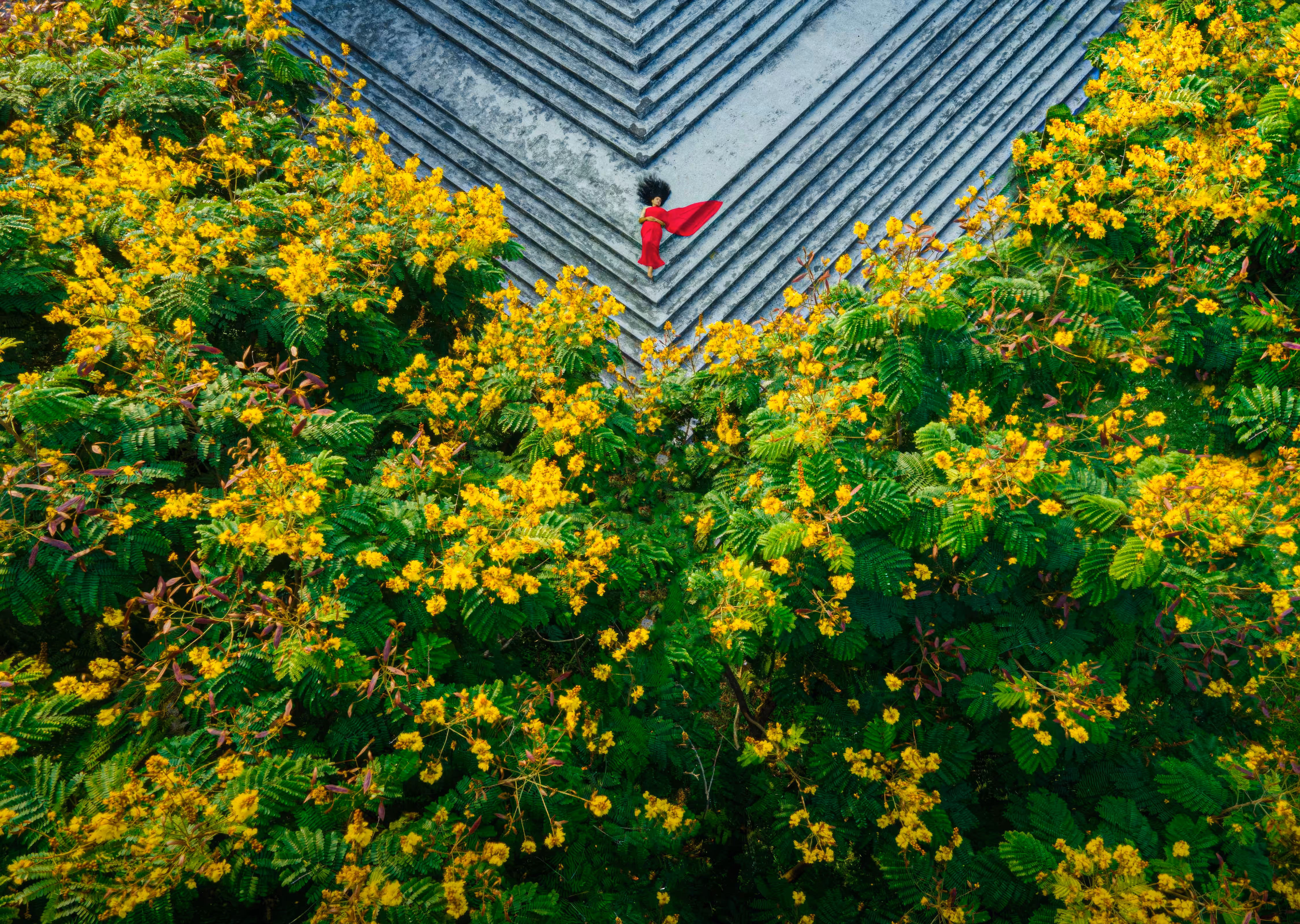 The Story of Red Saree (লাল শাড়ির গল্প)