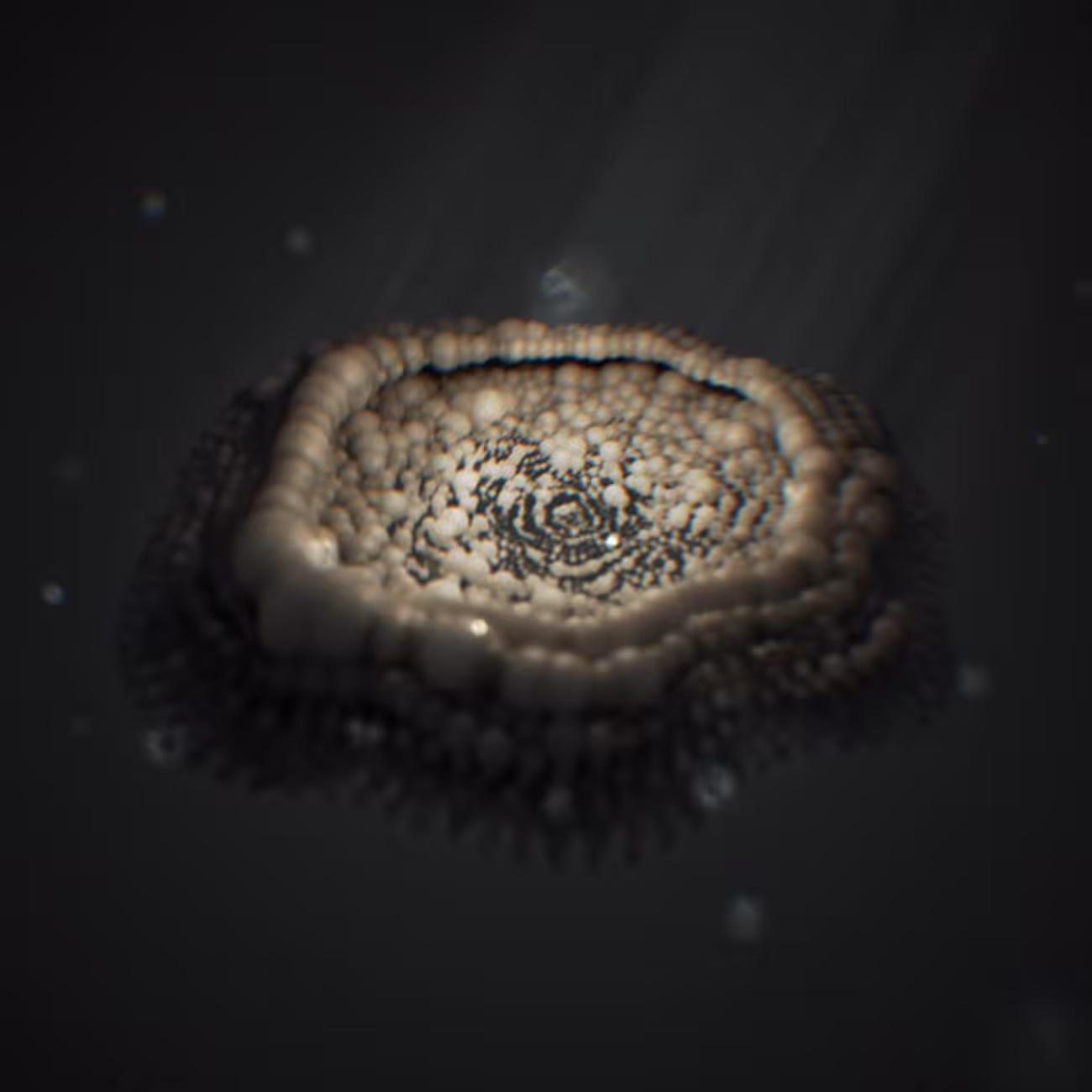 Mushroom