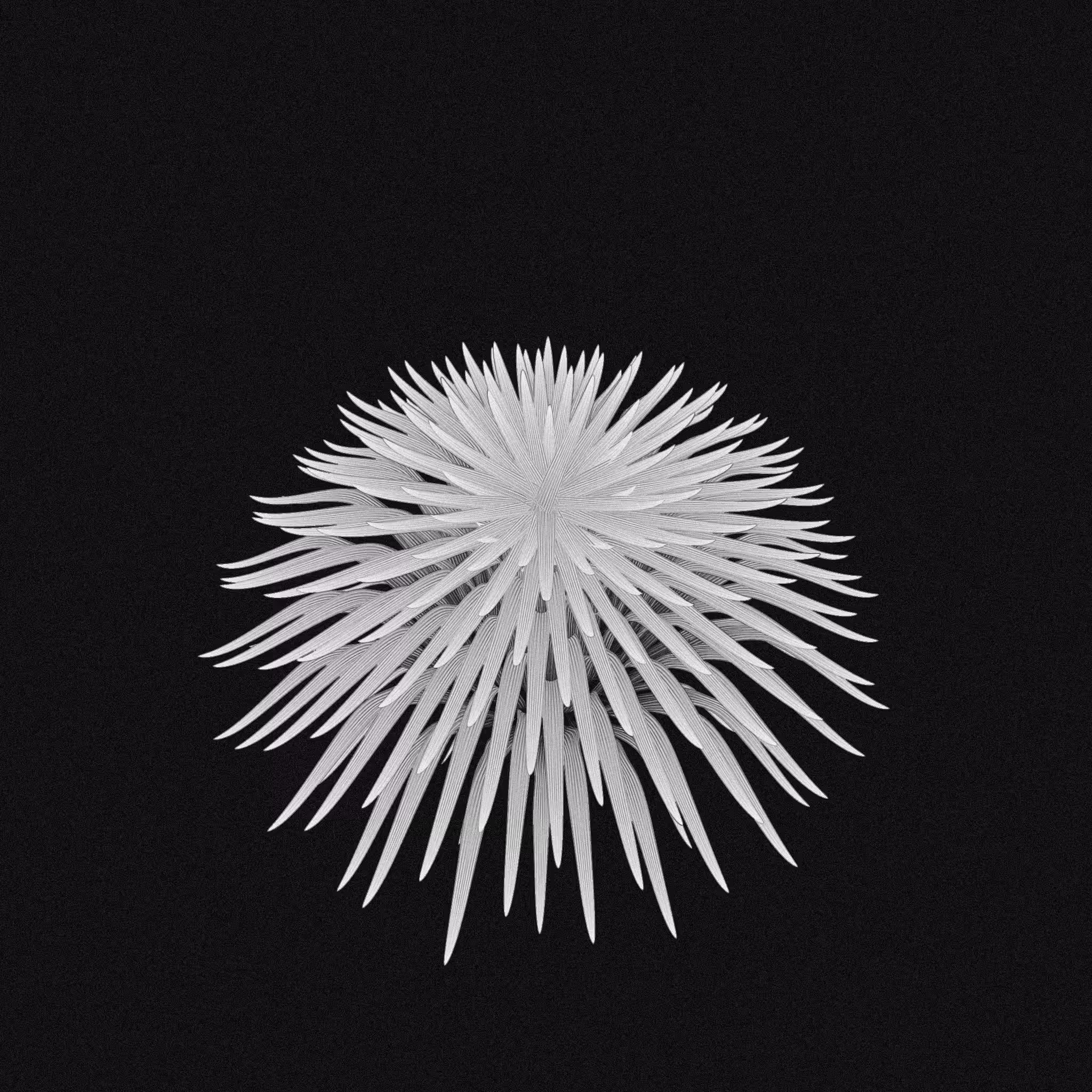 plant #91