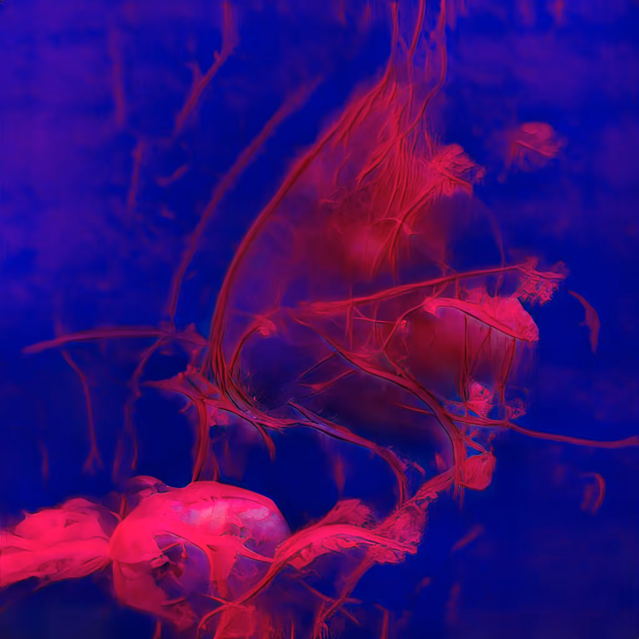 Emergent Finale 00297