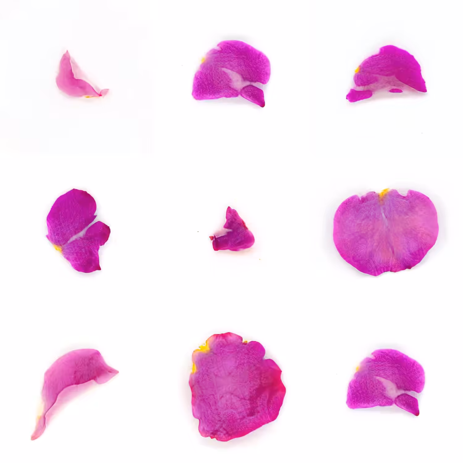 Infinite Petals 3x3#2227