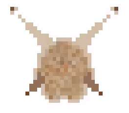 slug