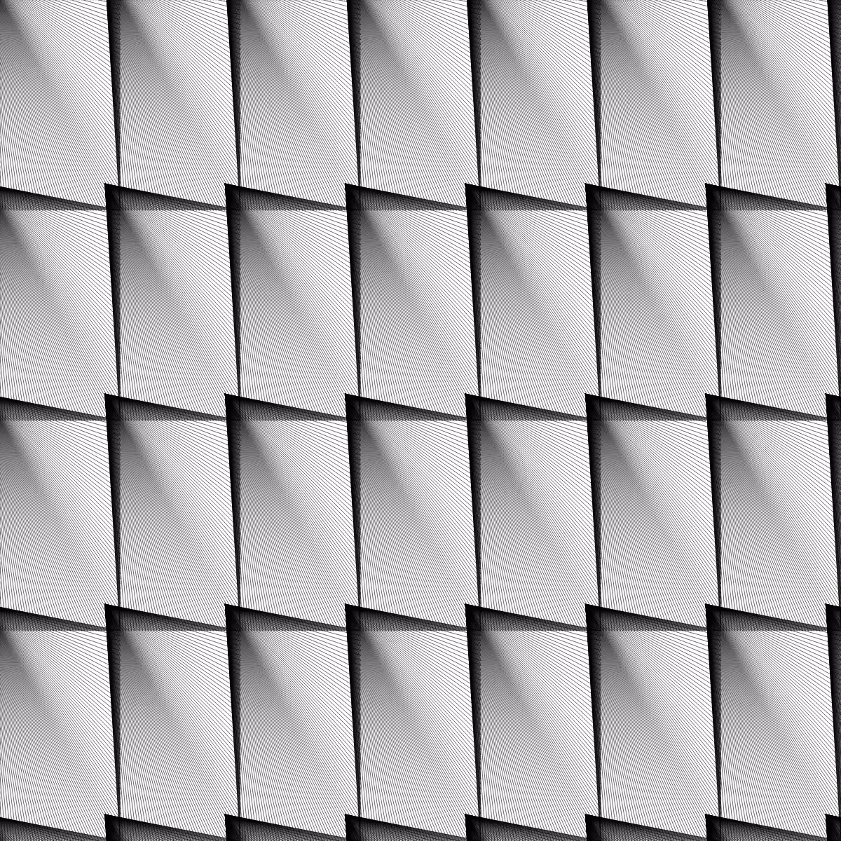 Noir et Blanc #12