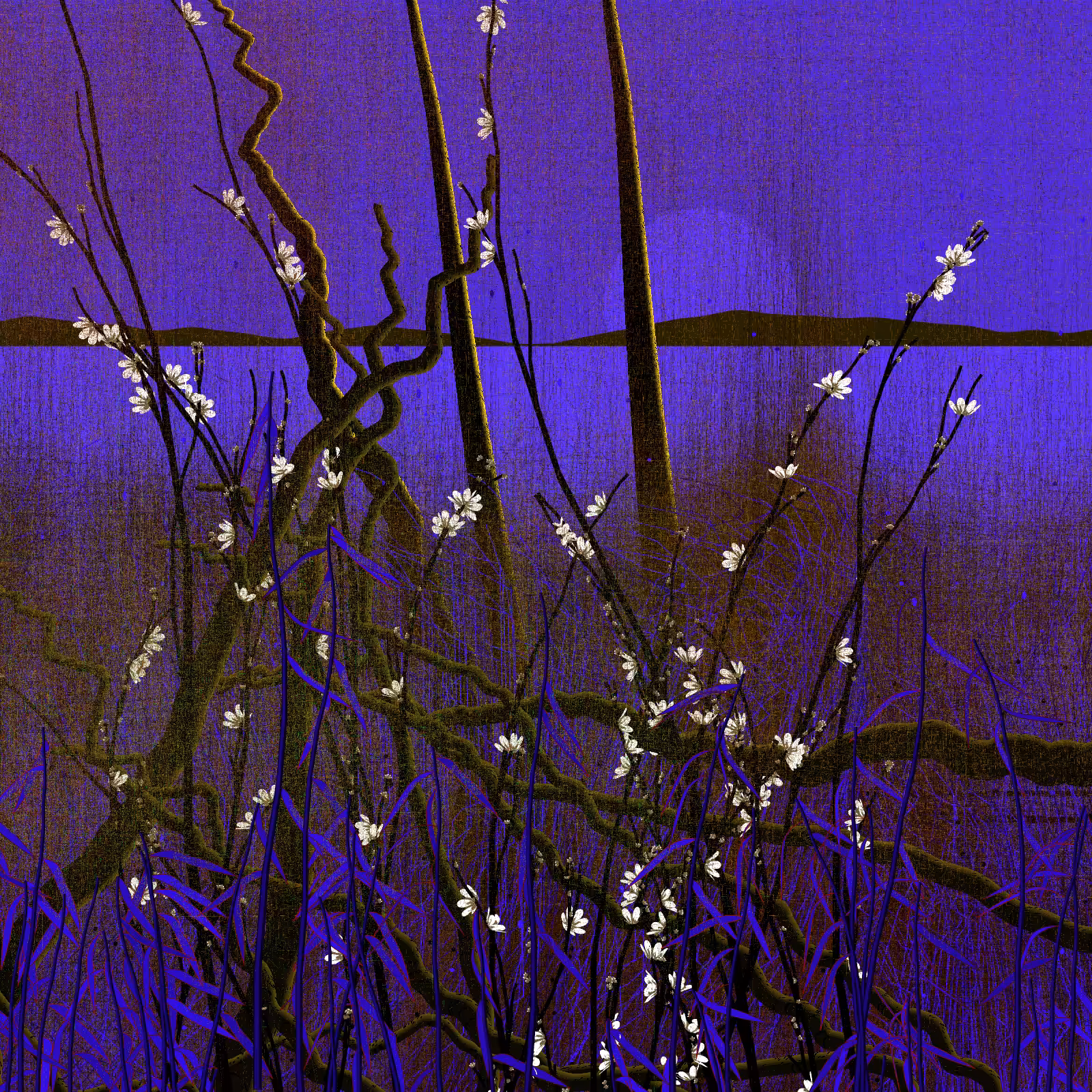 Dry twigs #31