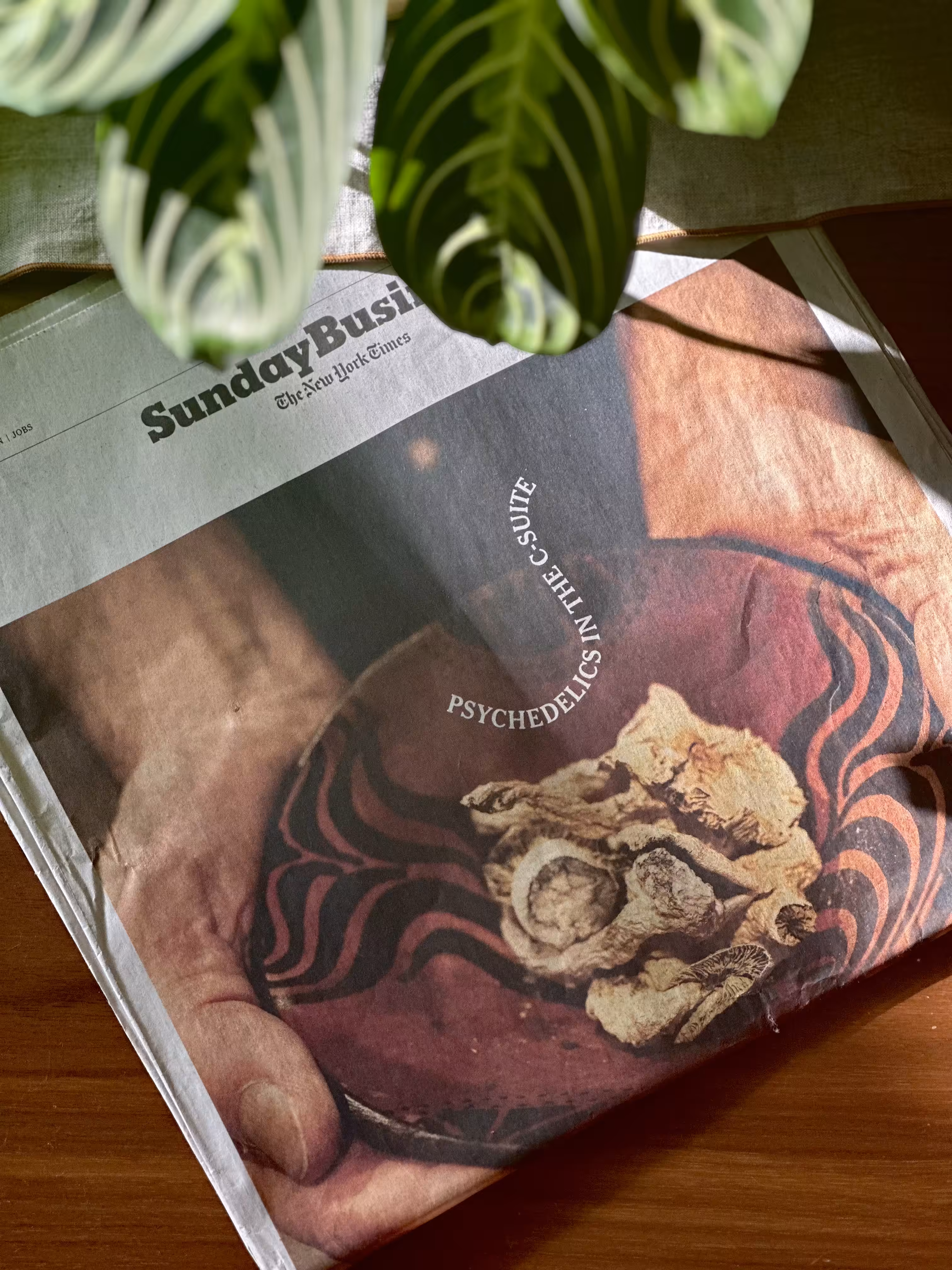 Reading Material