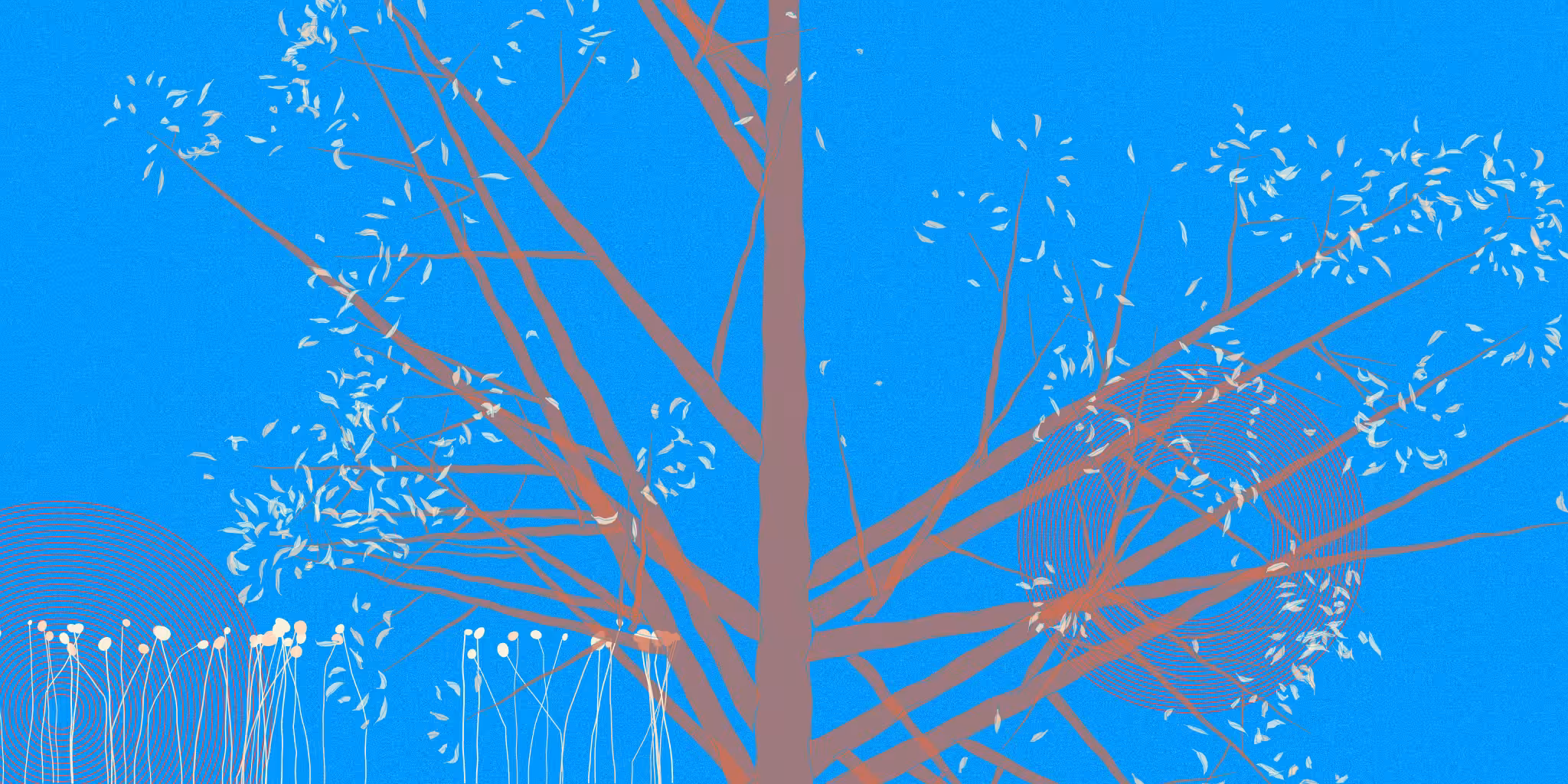 Bidaniel Tree #16