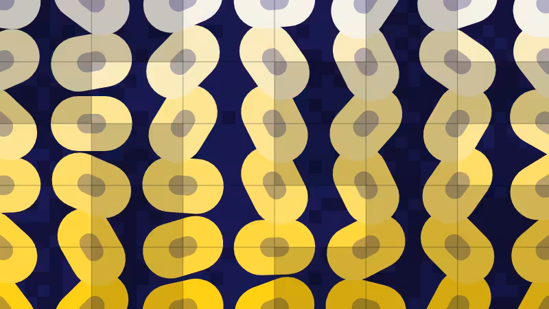 Polka #243