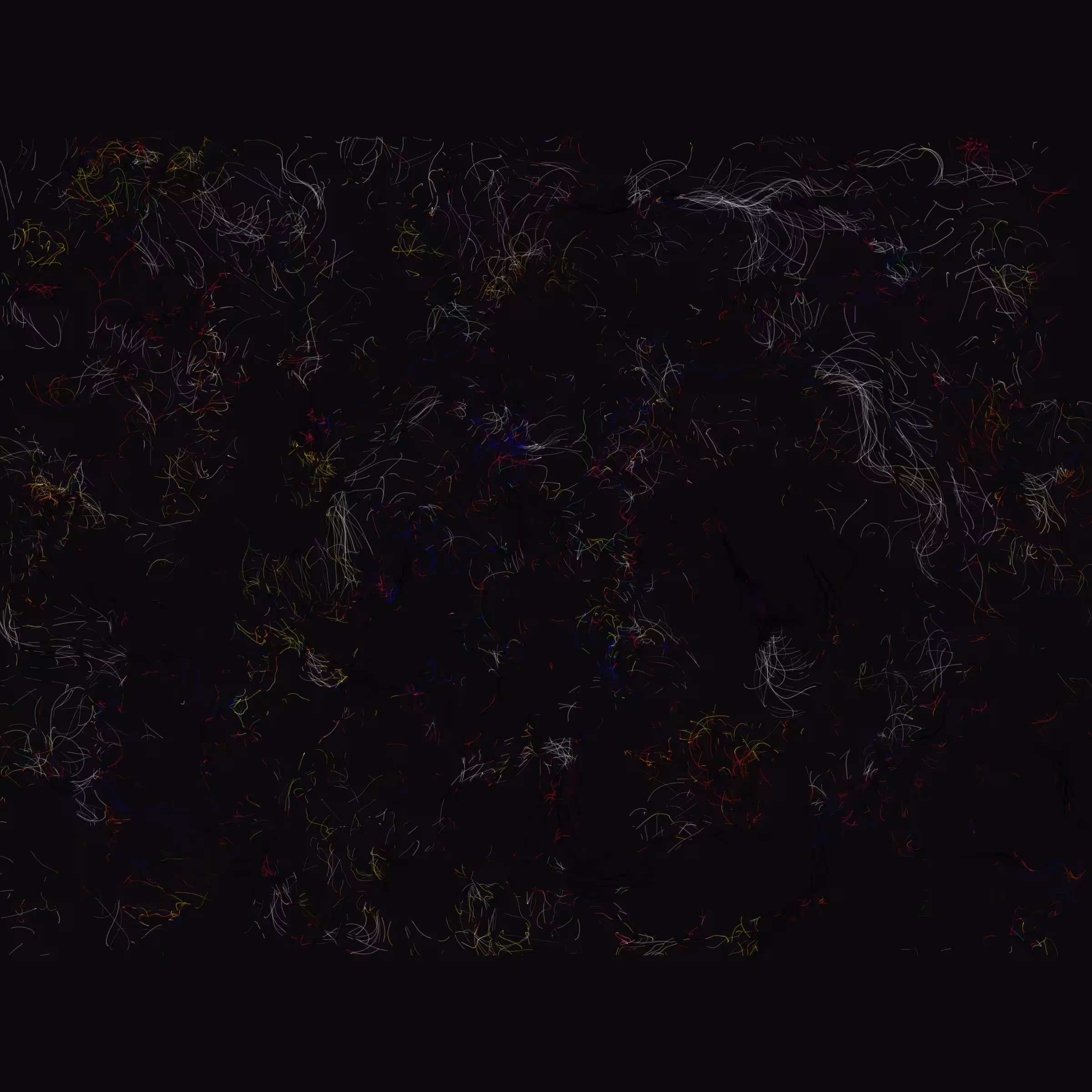 ₱₳Ɽ₳Đł₴Ɇ ⱧɆ₳Ɽ₮