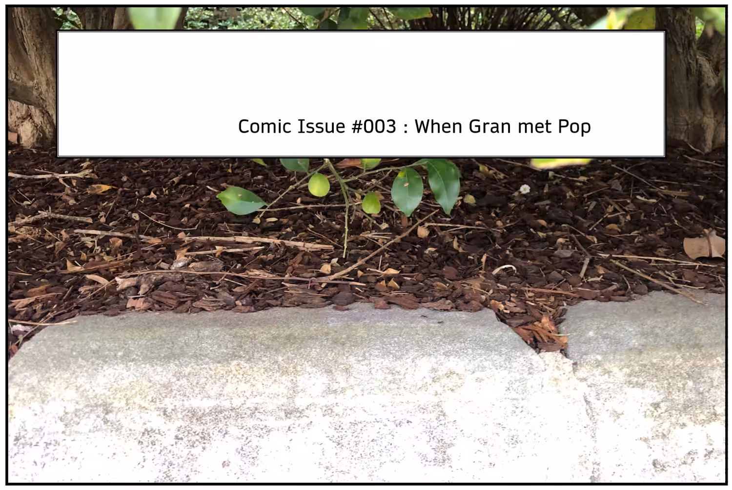 Muckywheels Comics #003 : When Gran met Pop