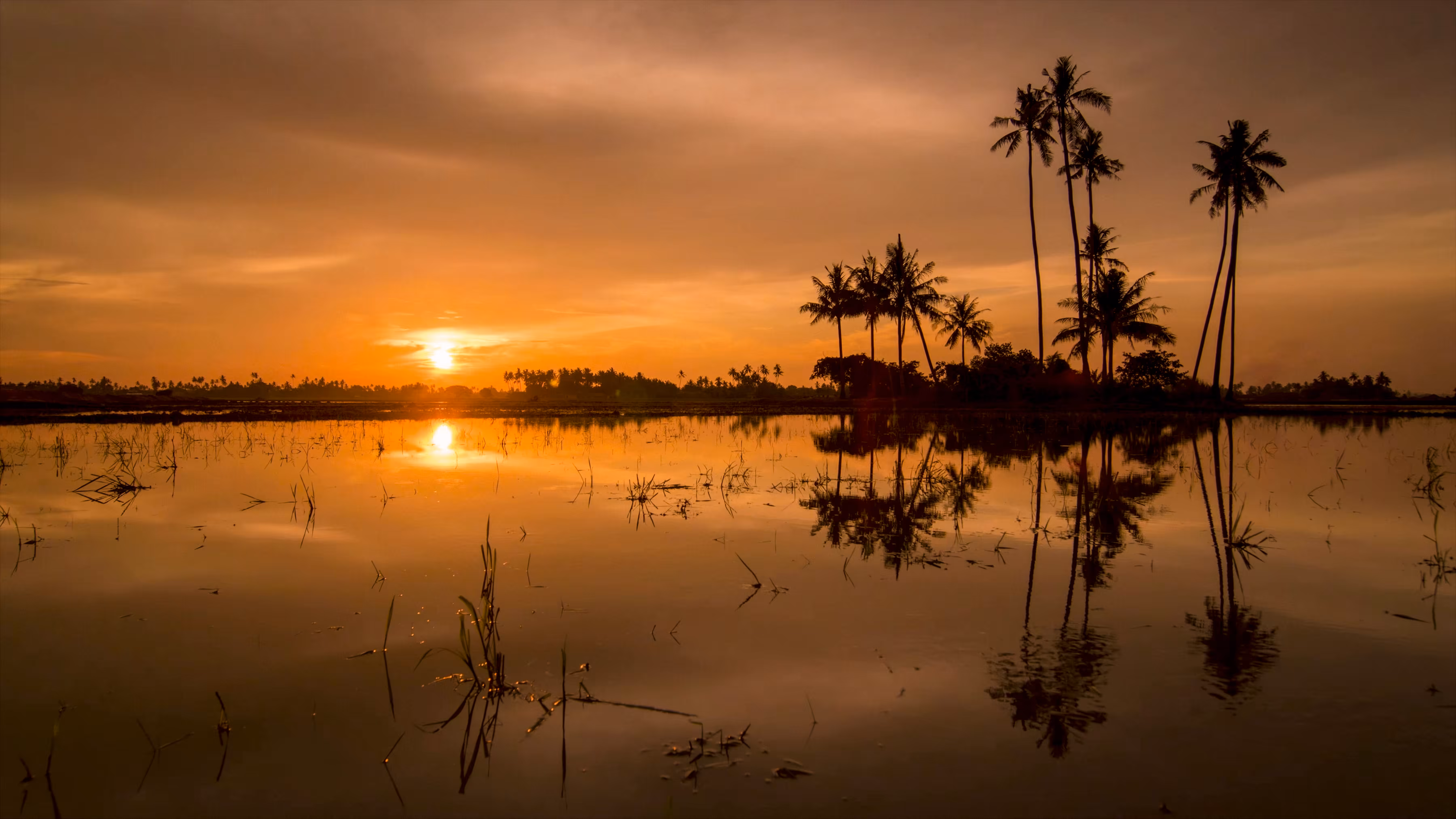 Amazing Sunset 2/10