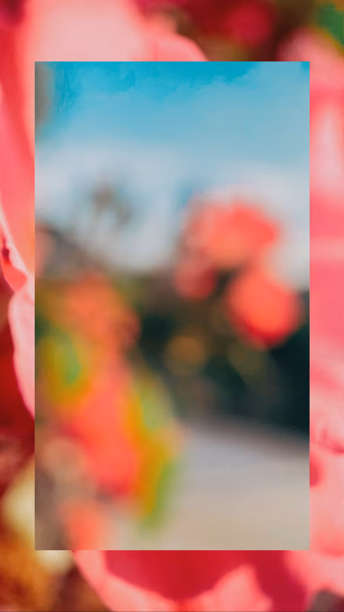 bloom_1