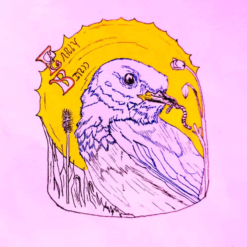 Early Bird