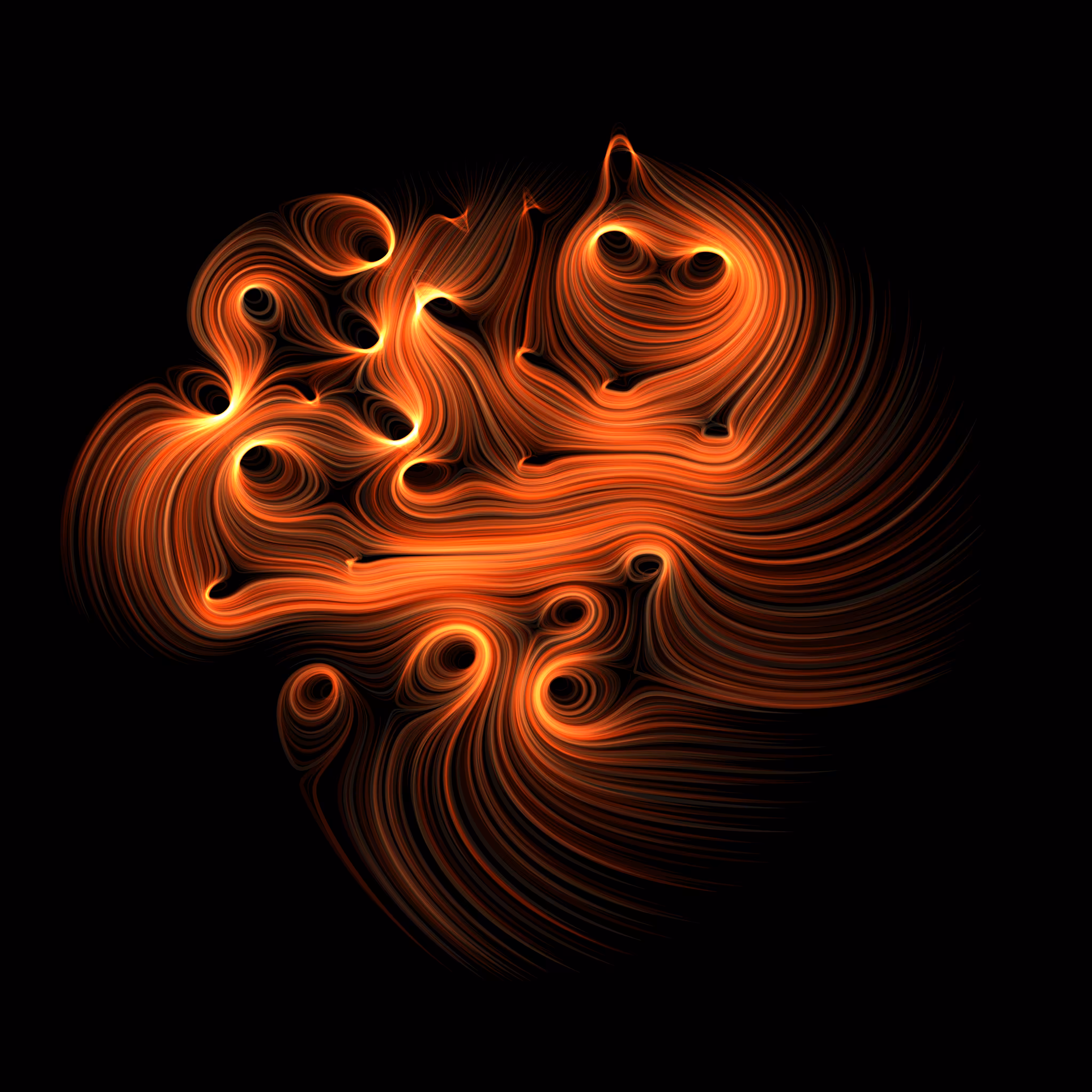 flow field #5