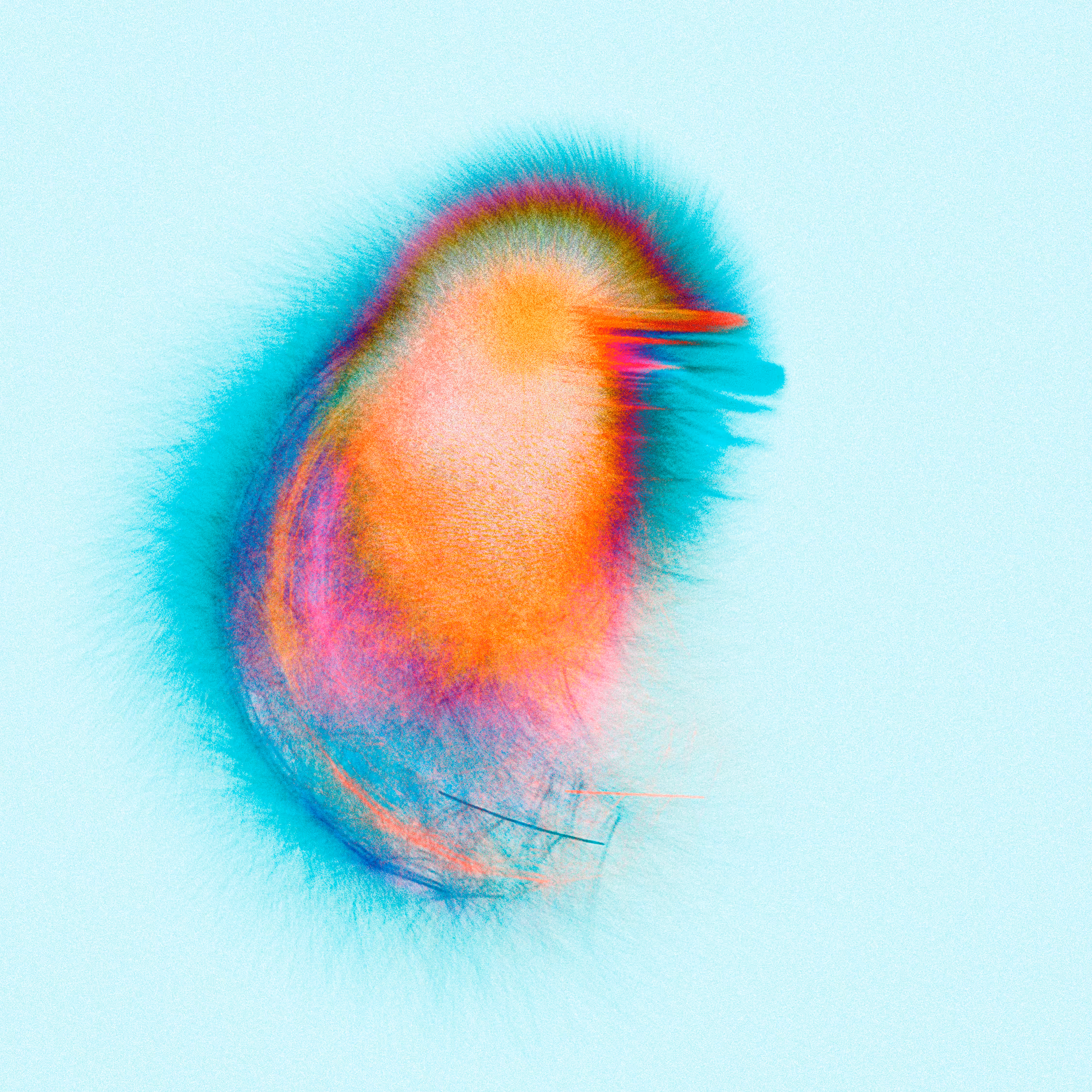 Psychedelic chicken à la mode