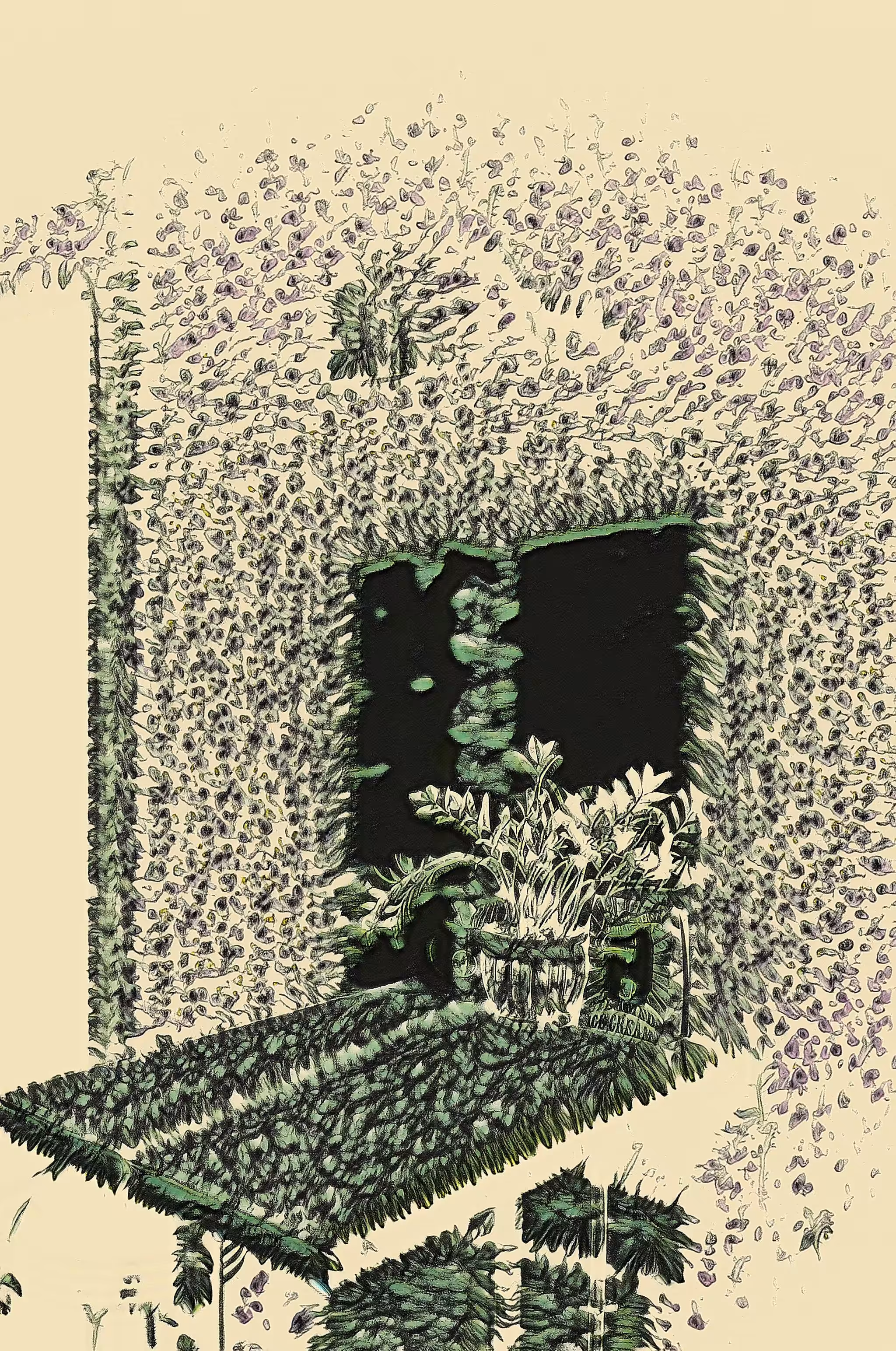 SILL
