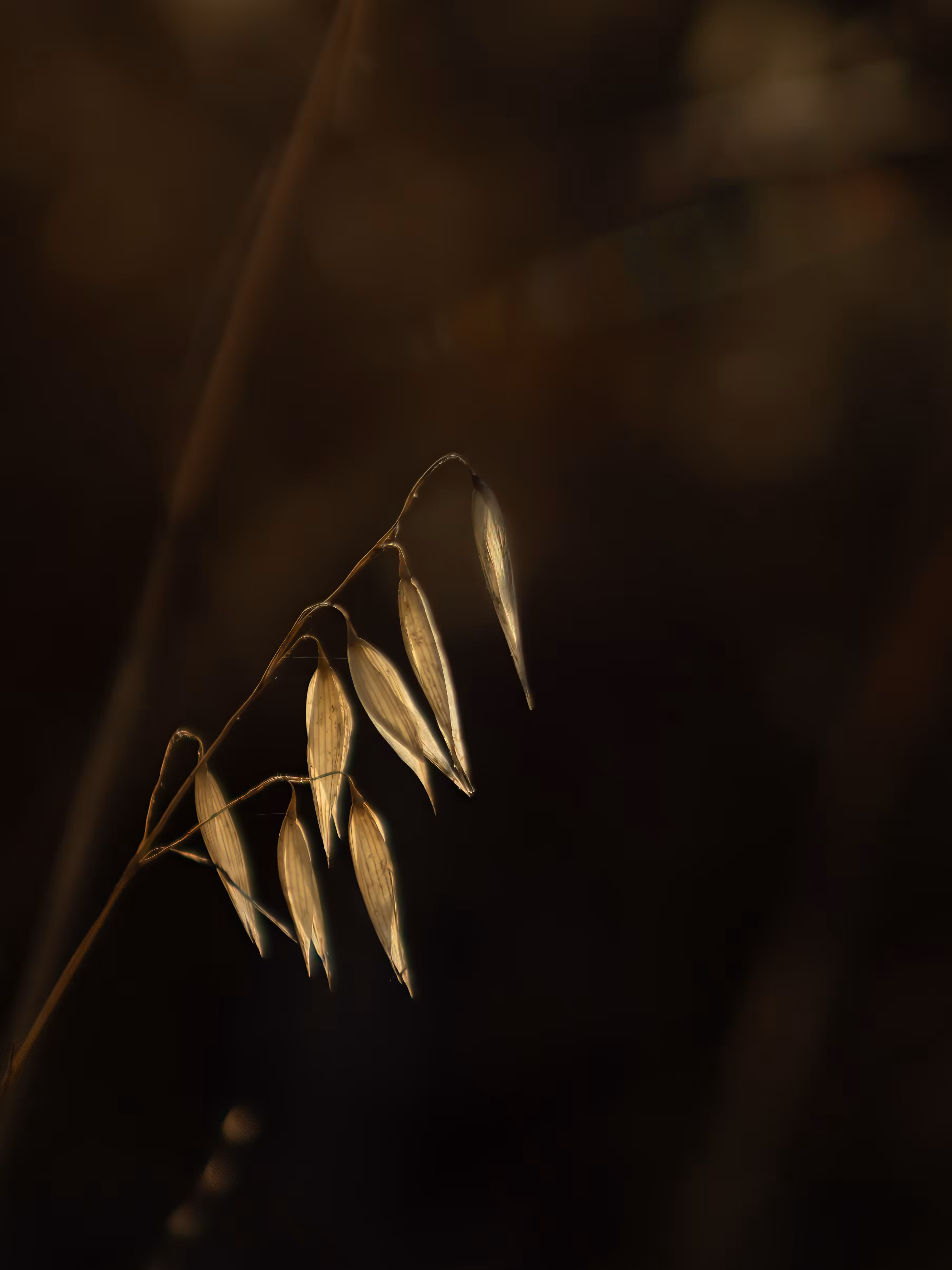 Living Gold
