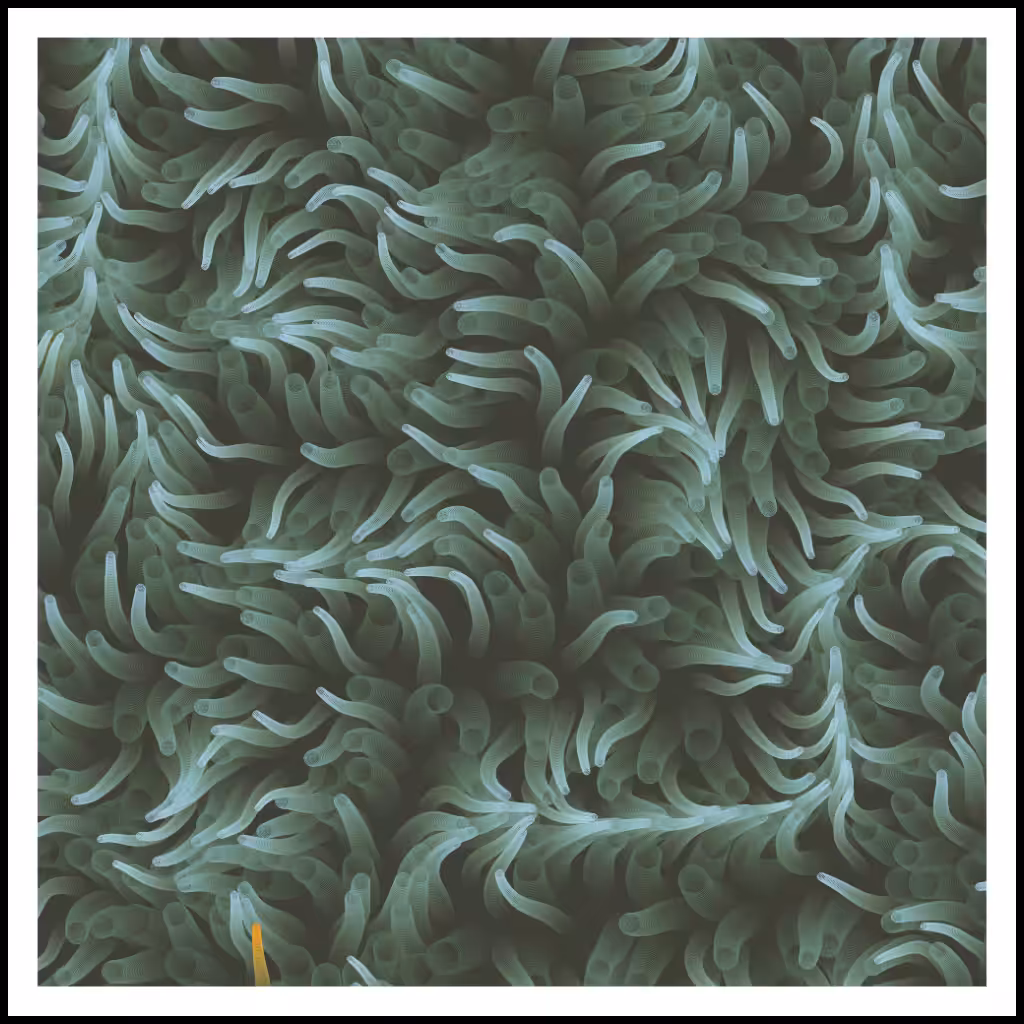 Studies of Motion  #18