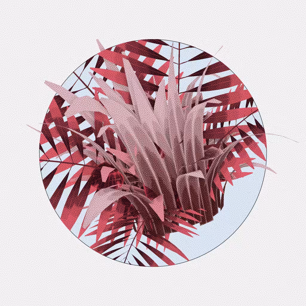Botany #149