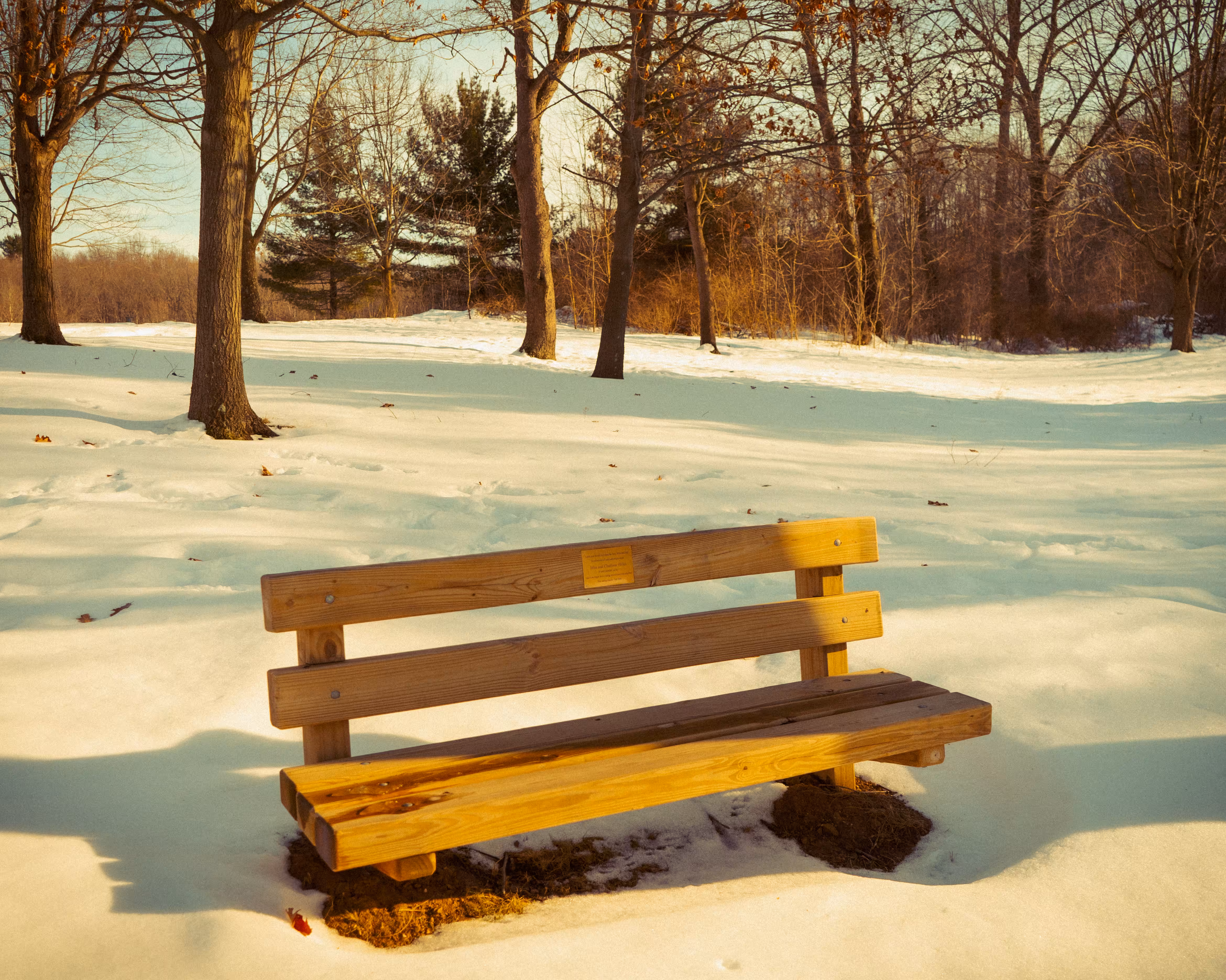 Saving You A Seat