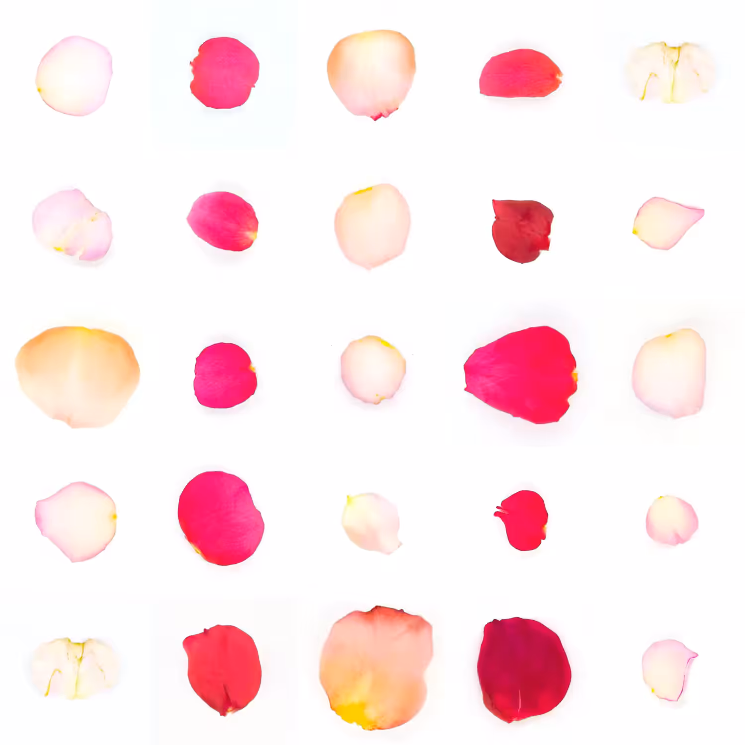 Infinite Petals 5x5#21057
