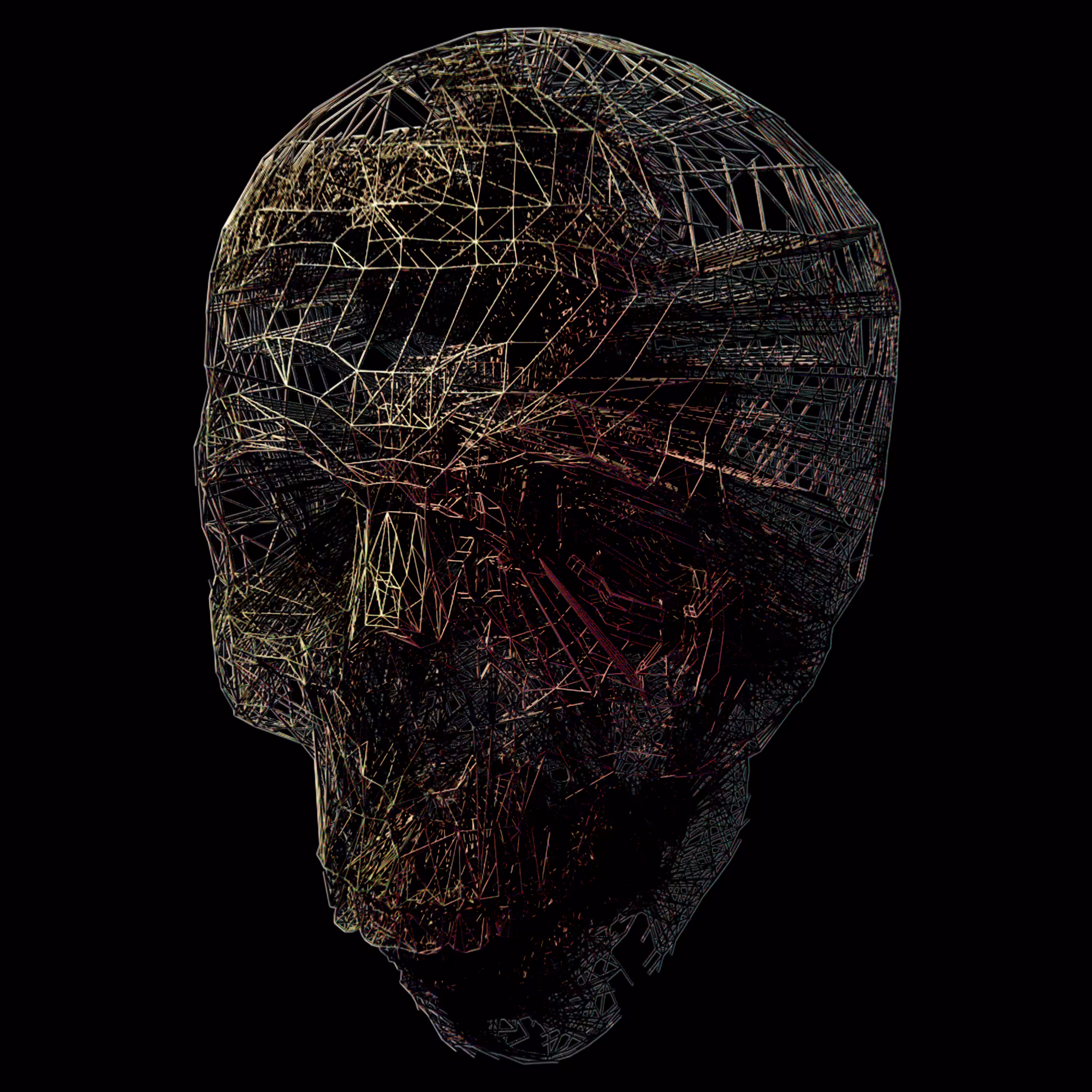 404SKULLS - 024