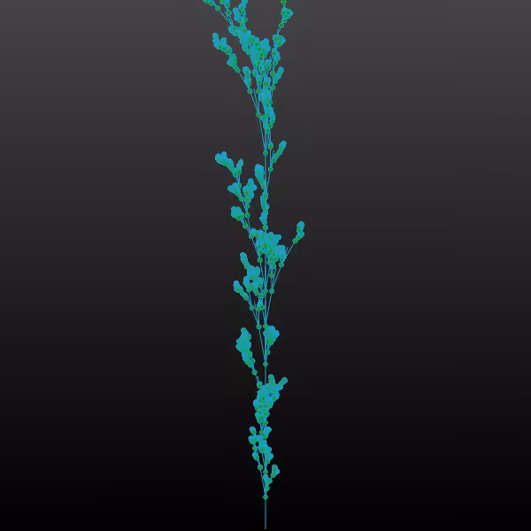Verse-Plants #2