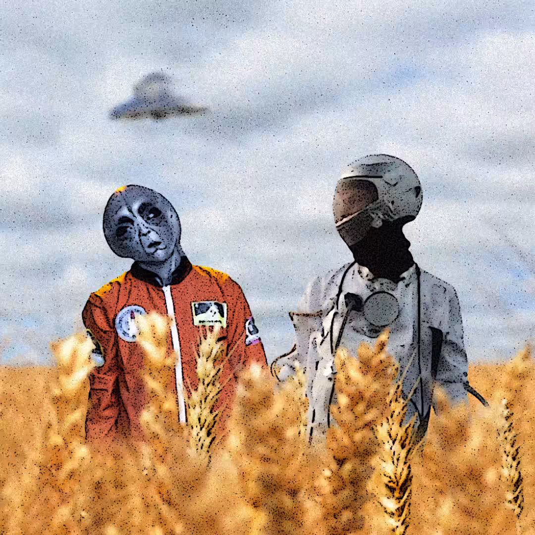 Crazy Farm 2