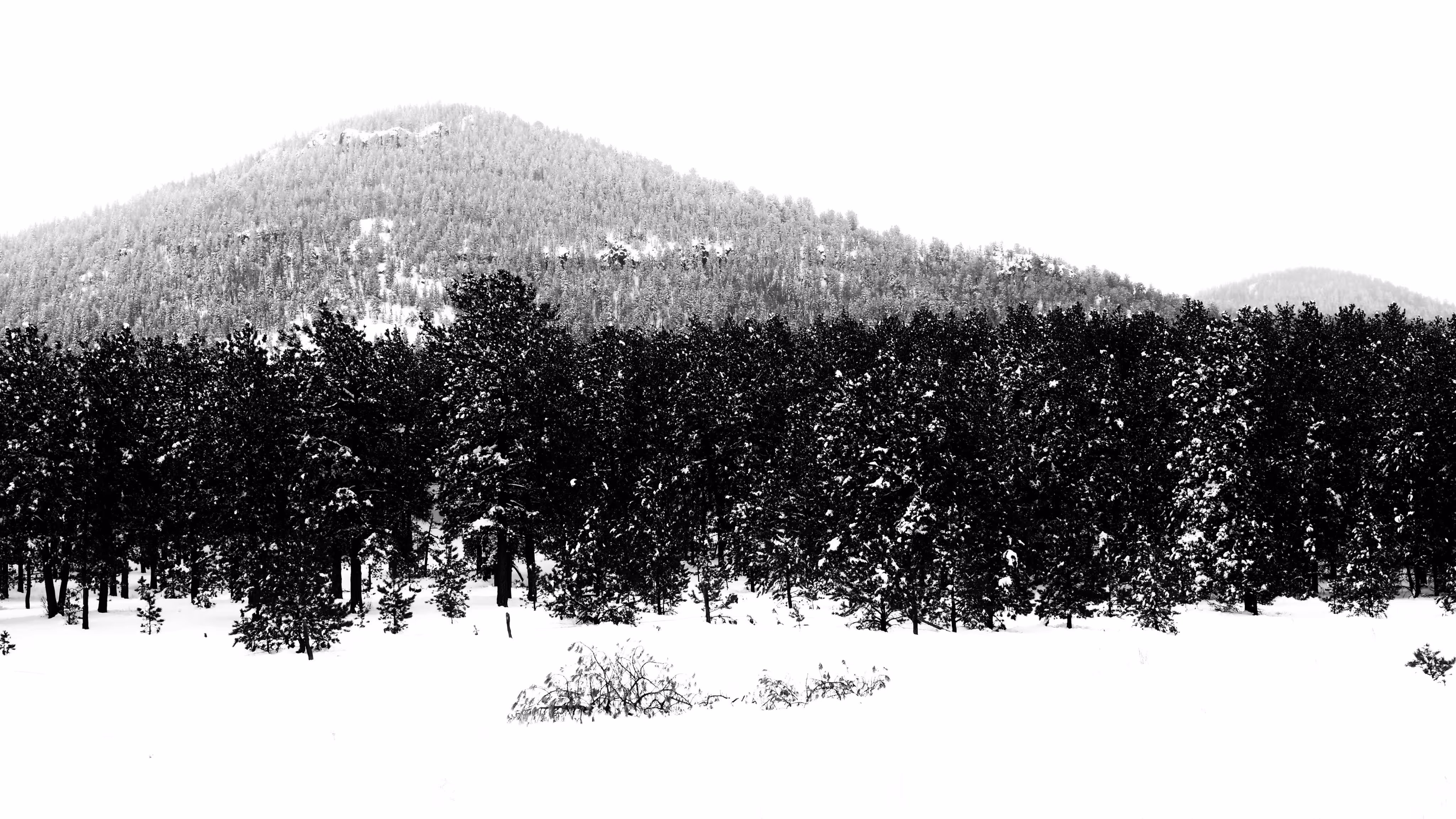The Longest Winter
