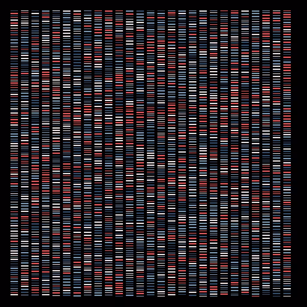 Deoxyribonucleic Acid Sequence | BDC #24