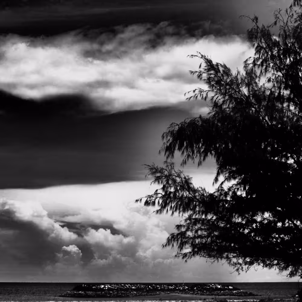 The Sea Breeze