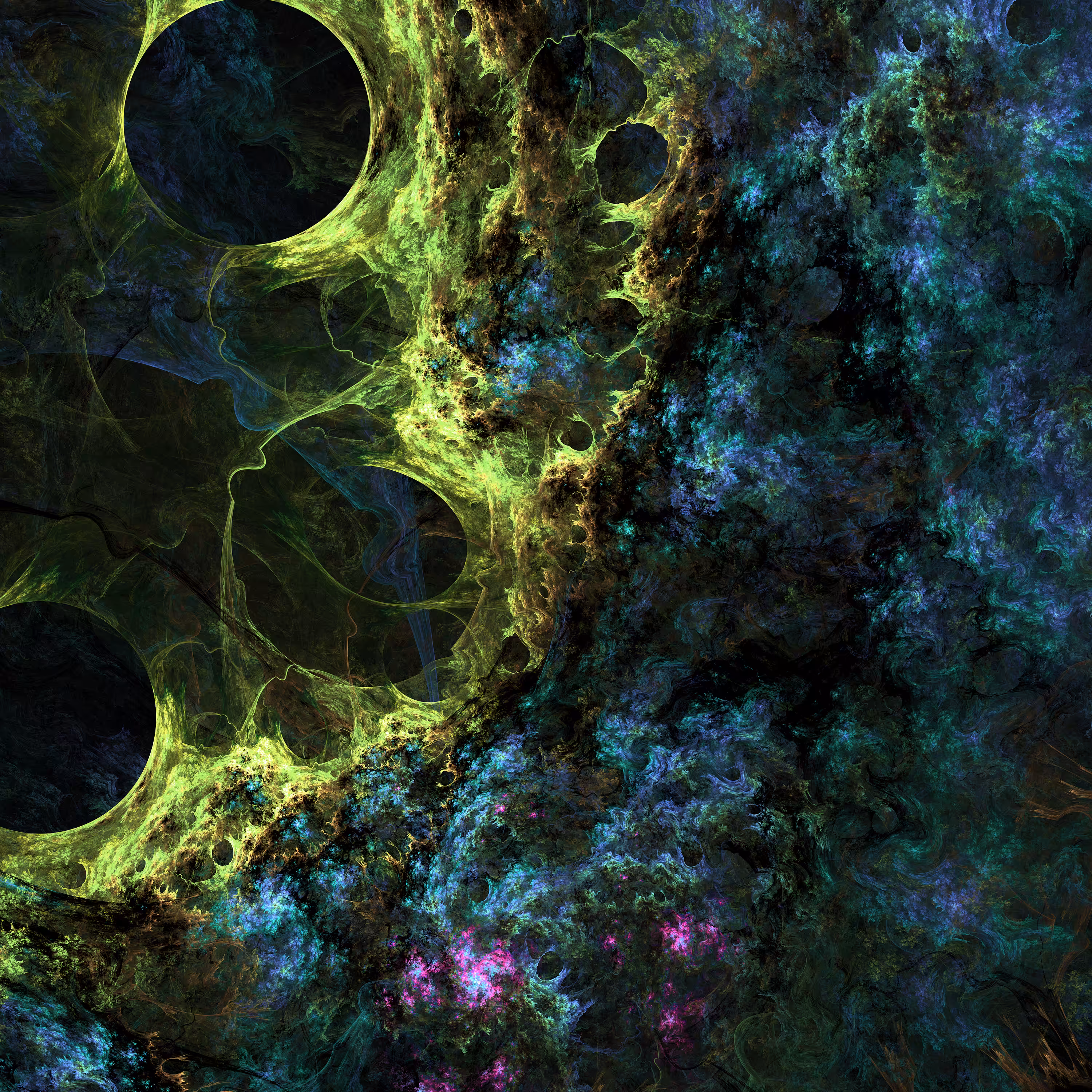 Spread of Bacteria