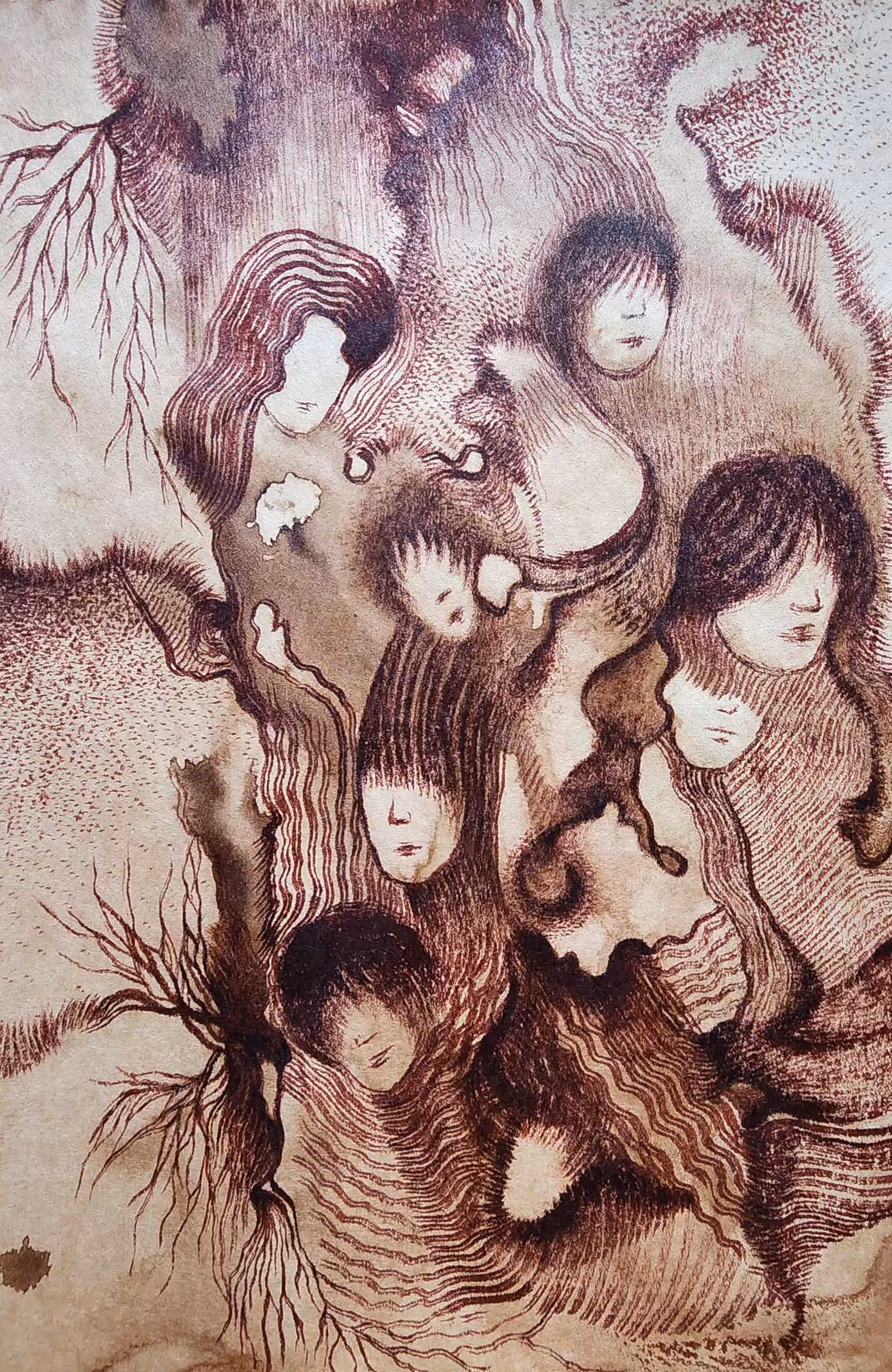 Metamorphosis