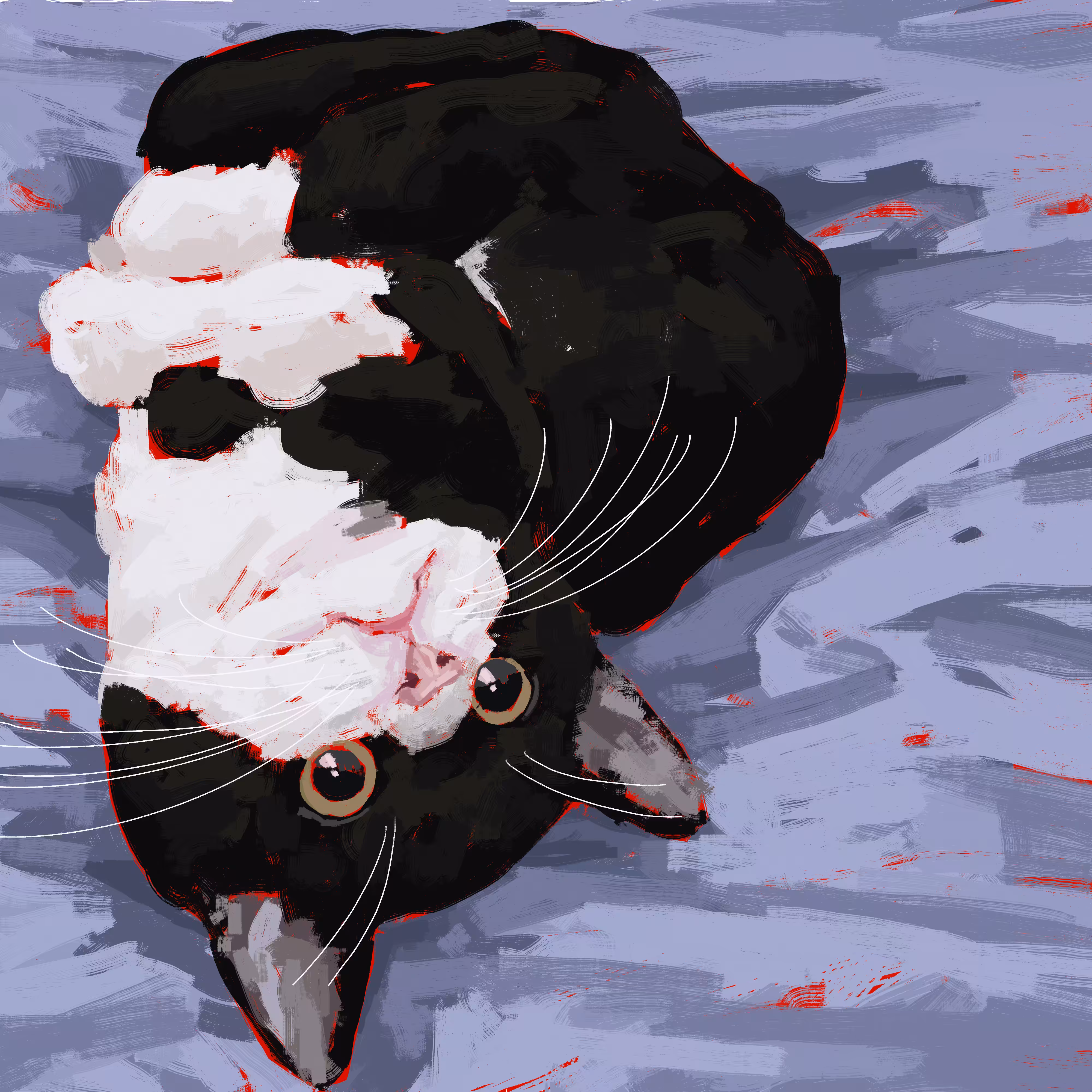 Cat #11