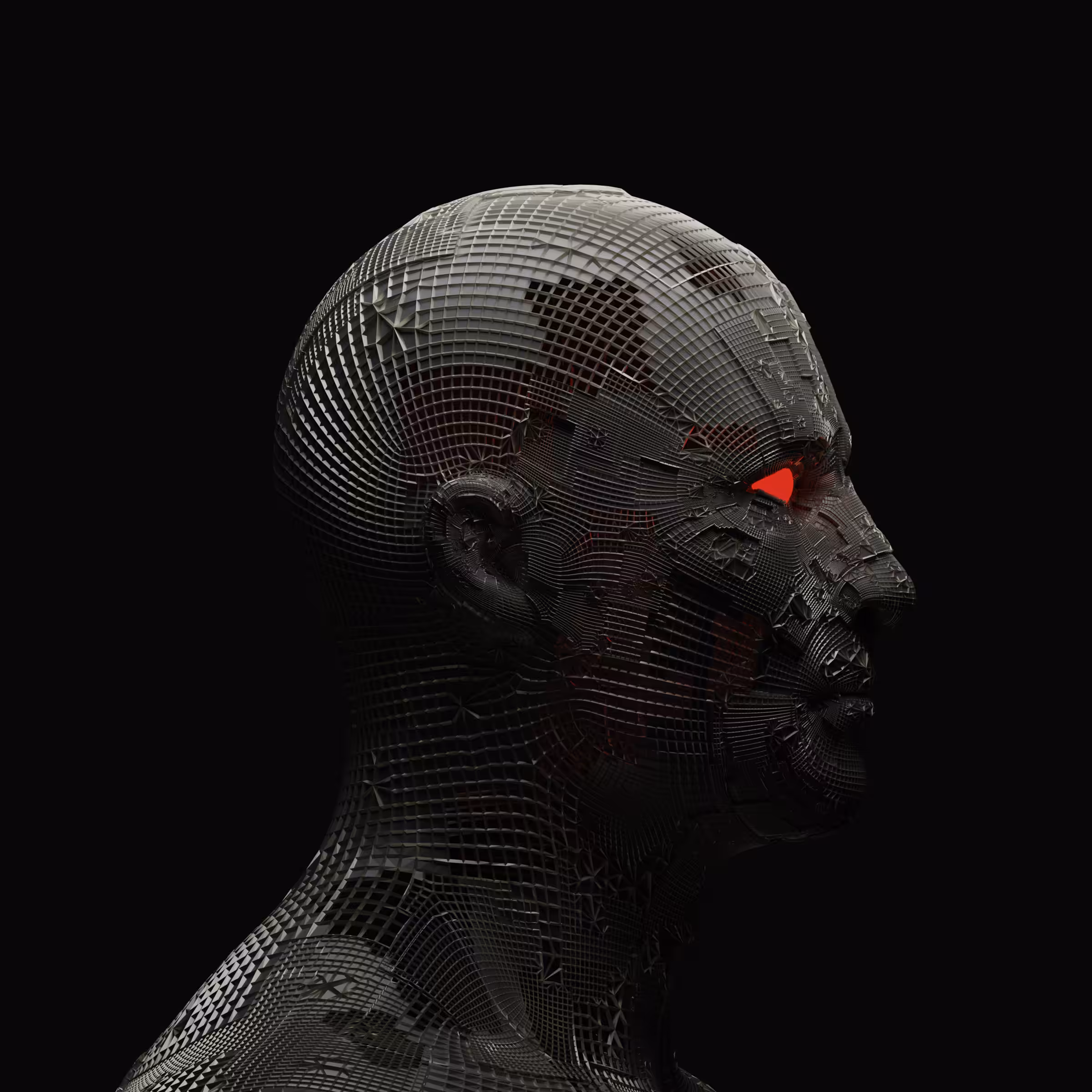 D E S T R O Y E R