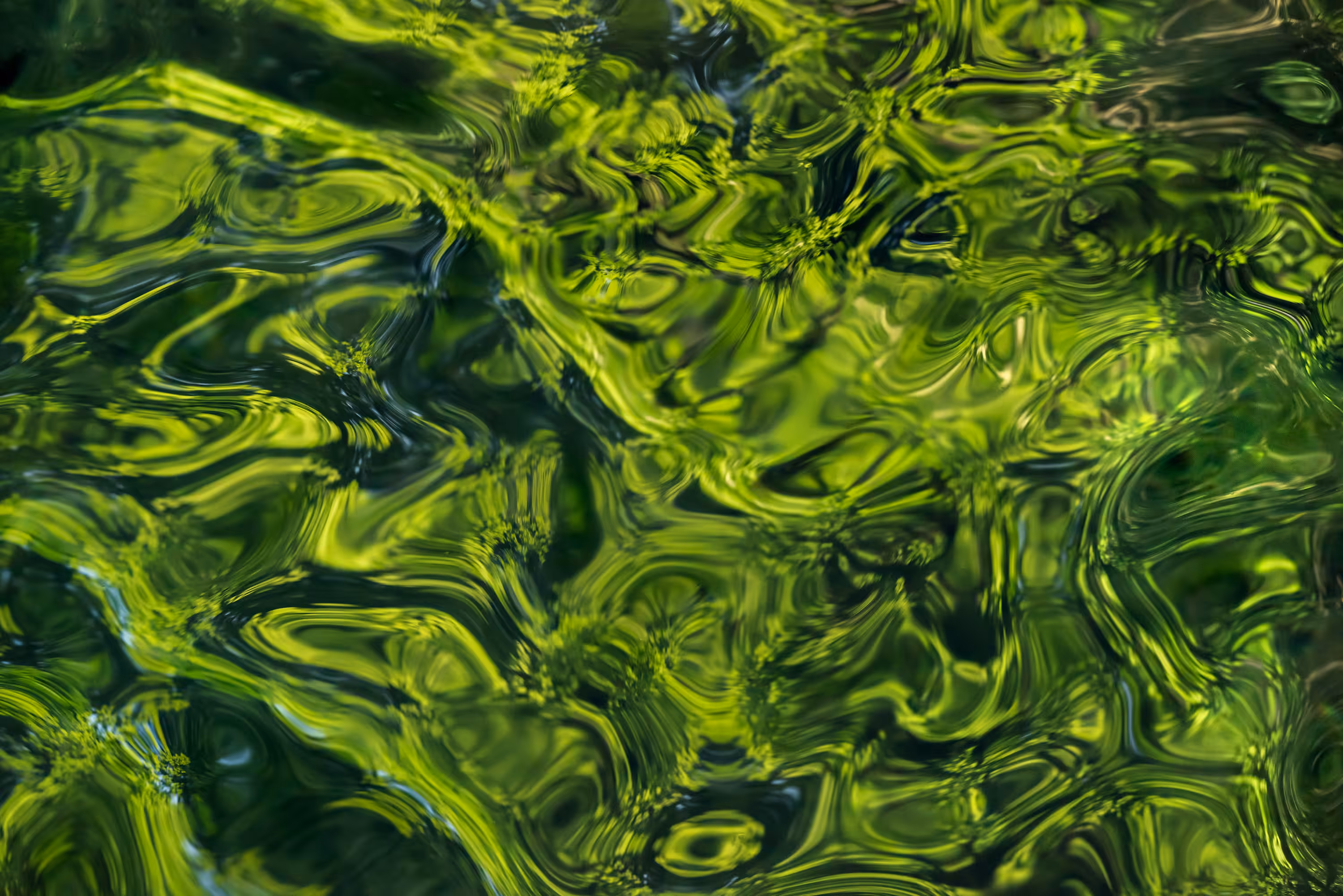 Ebb and Flow #55