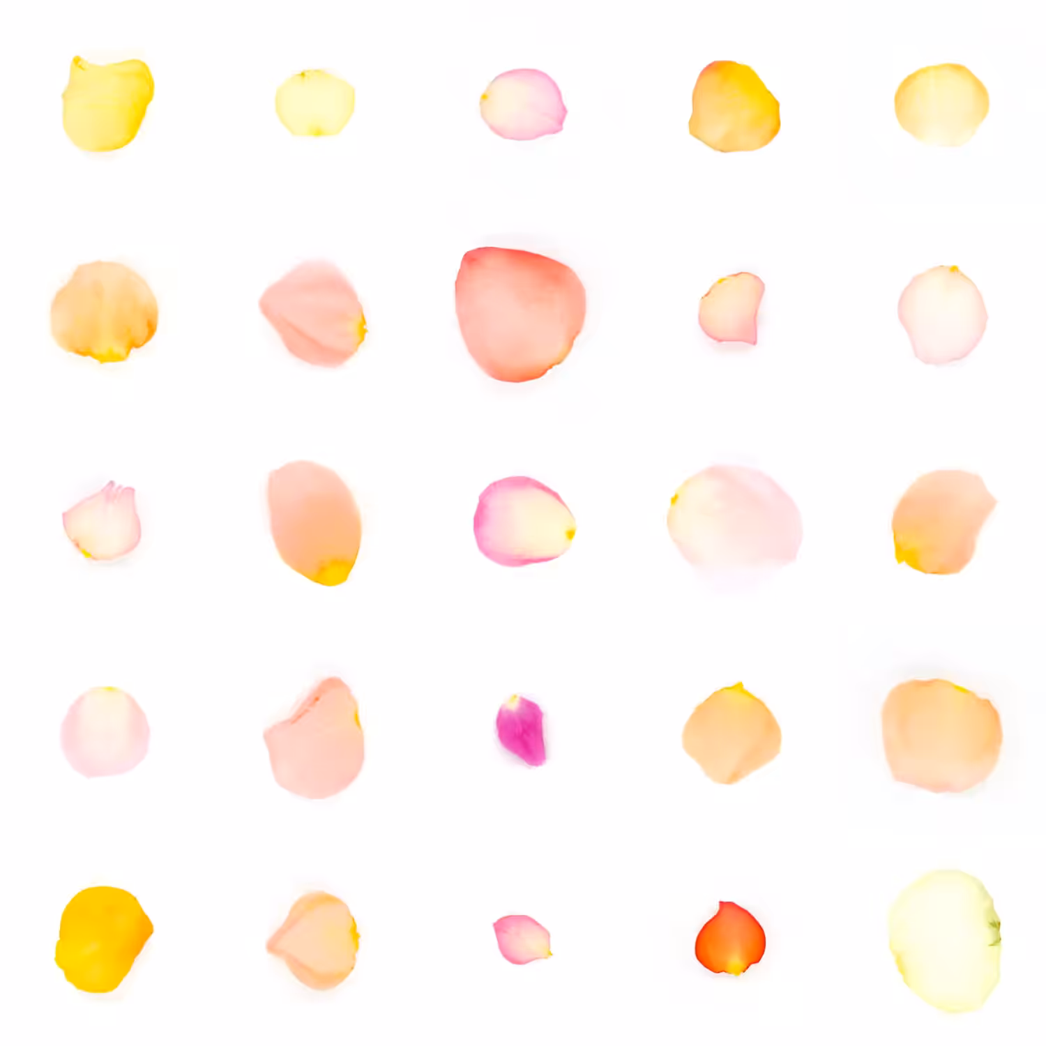 Infinite Petals 5x5#20881