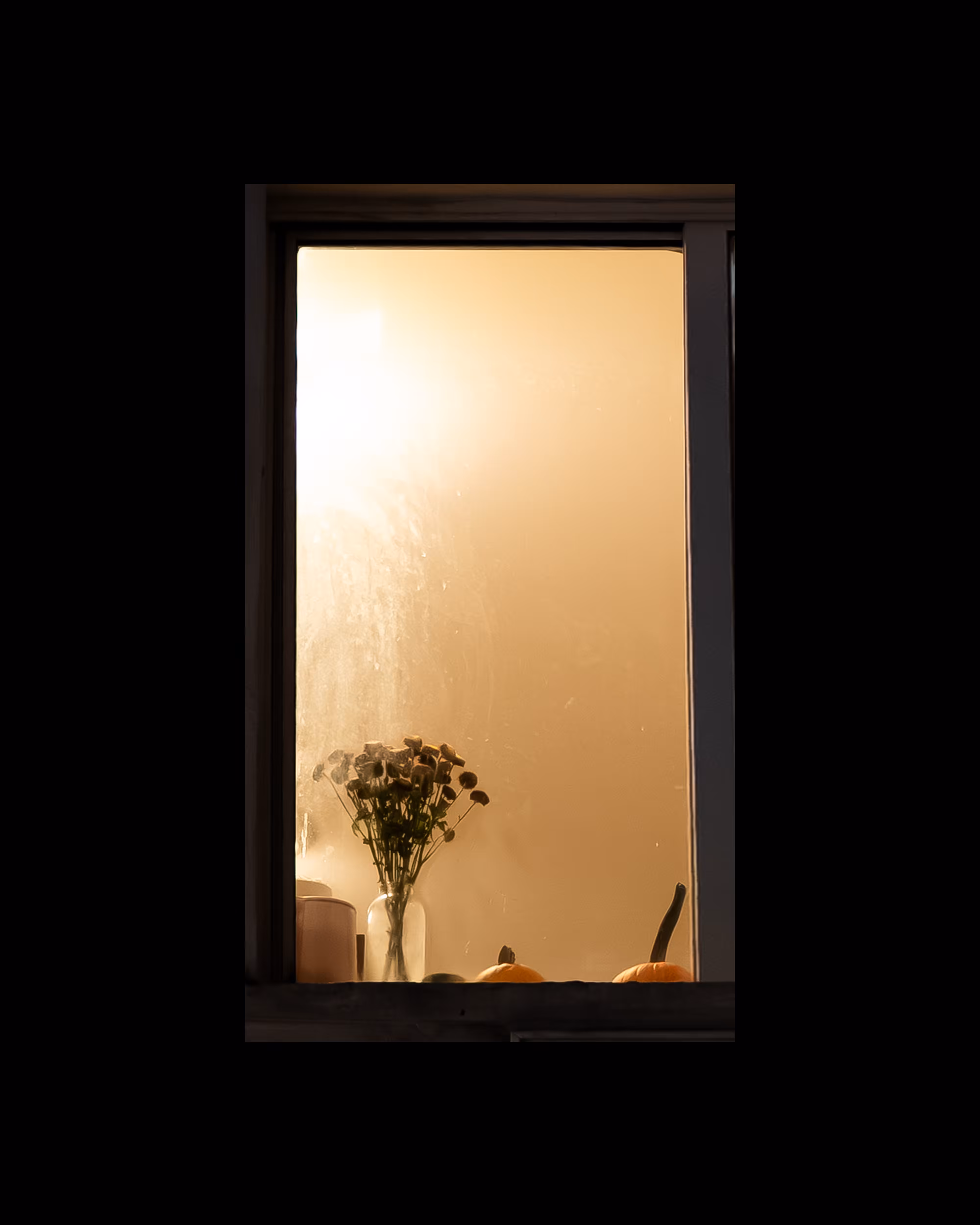 WINDOW 202